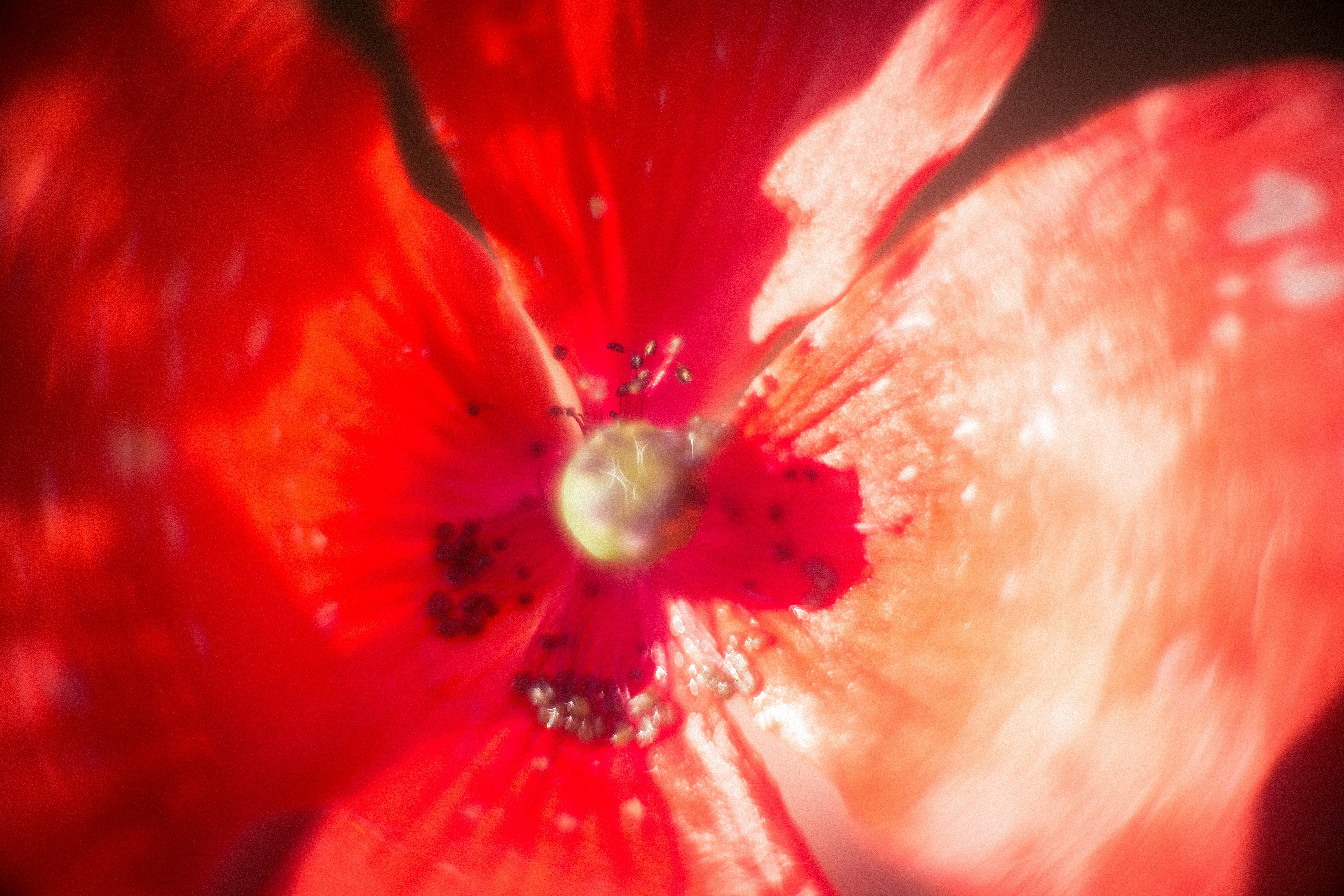 Free Unsplash photo from Mathias Elmose