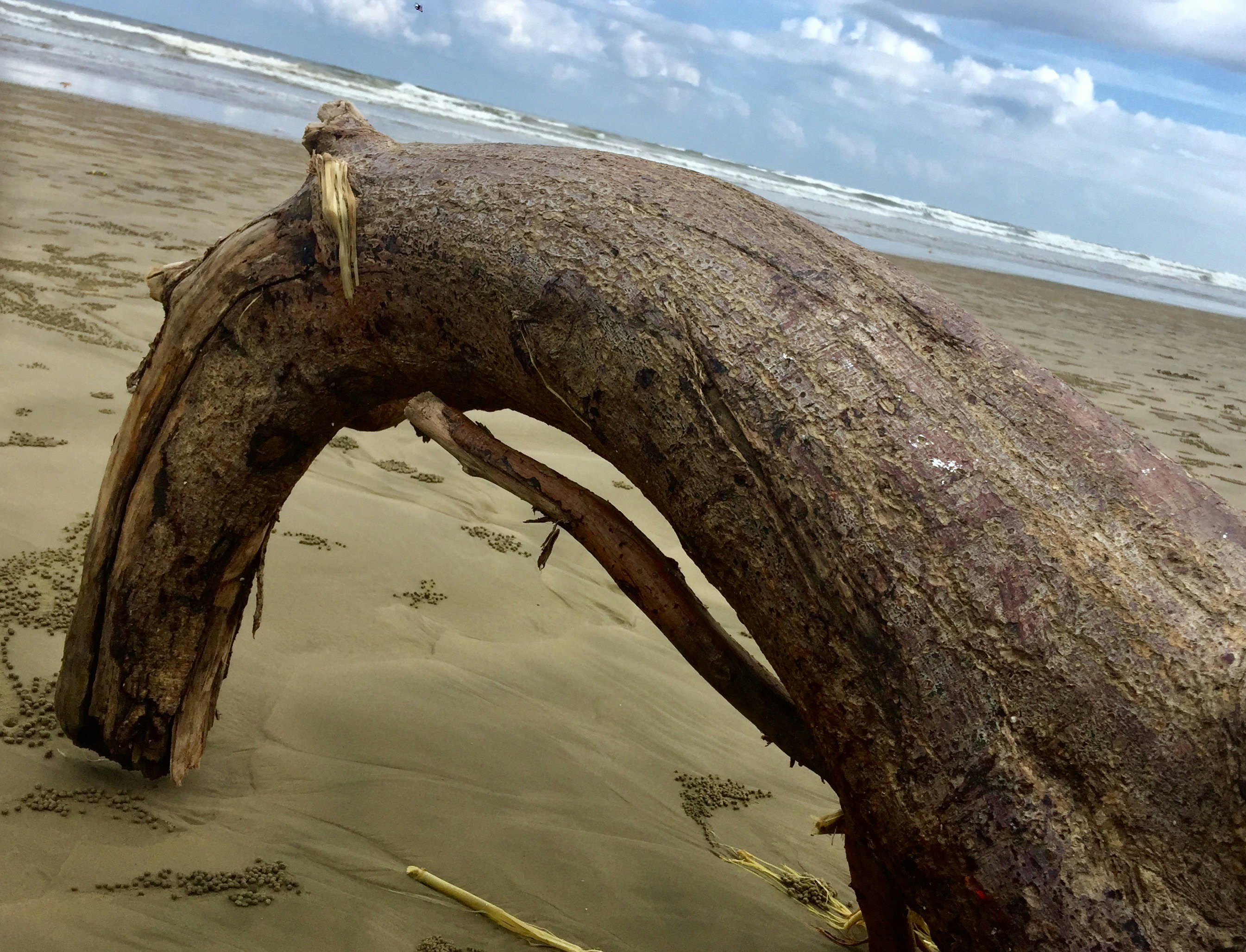 Free Unsplash photo from yemi scott