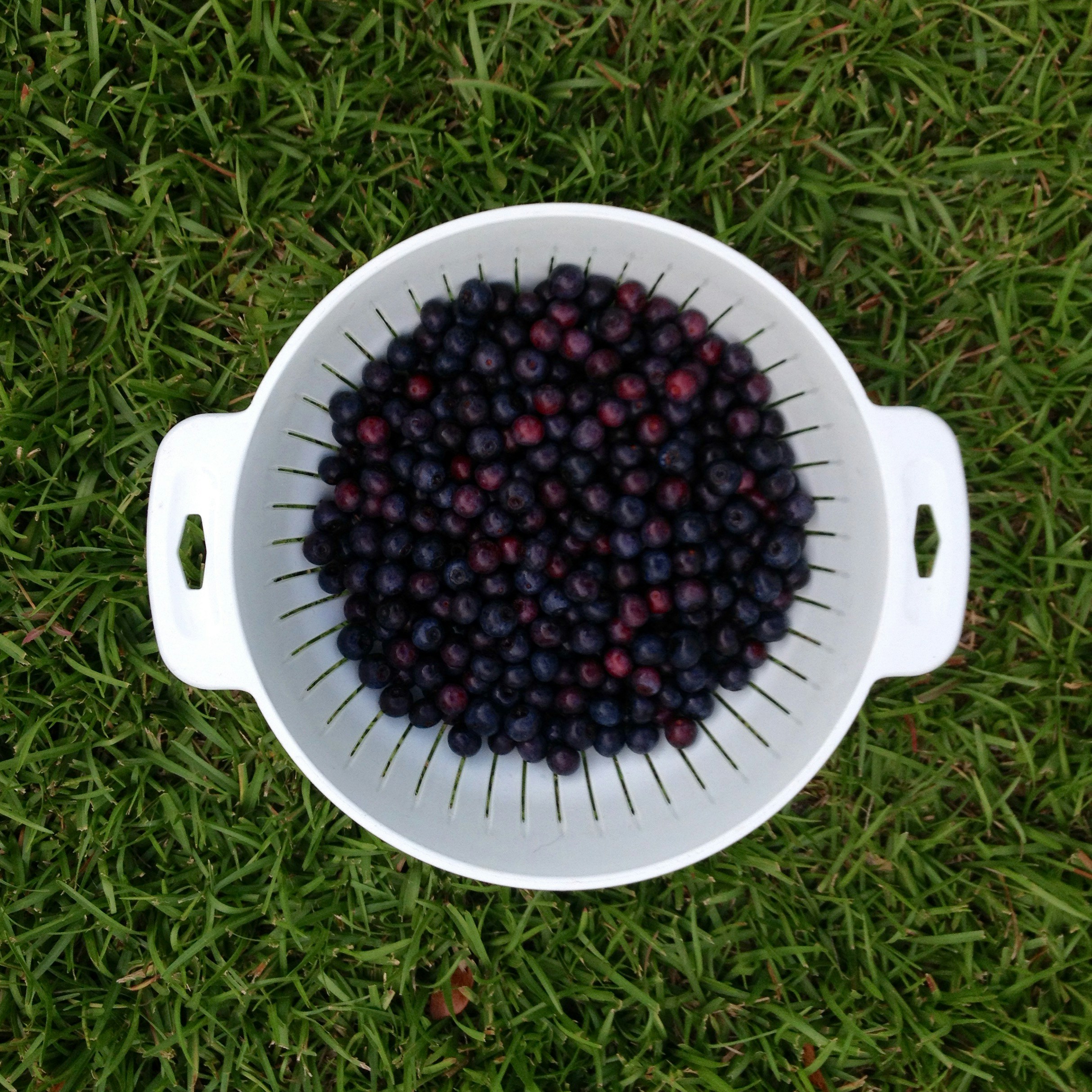 Free Unsplash photo from Sam Ladner