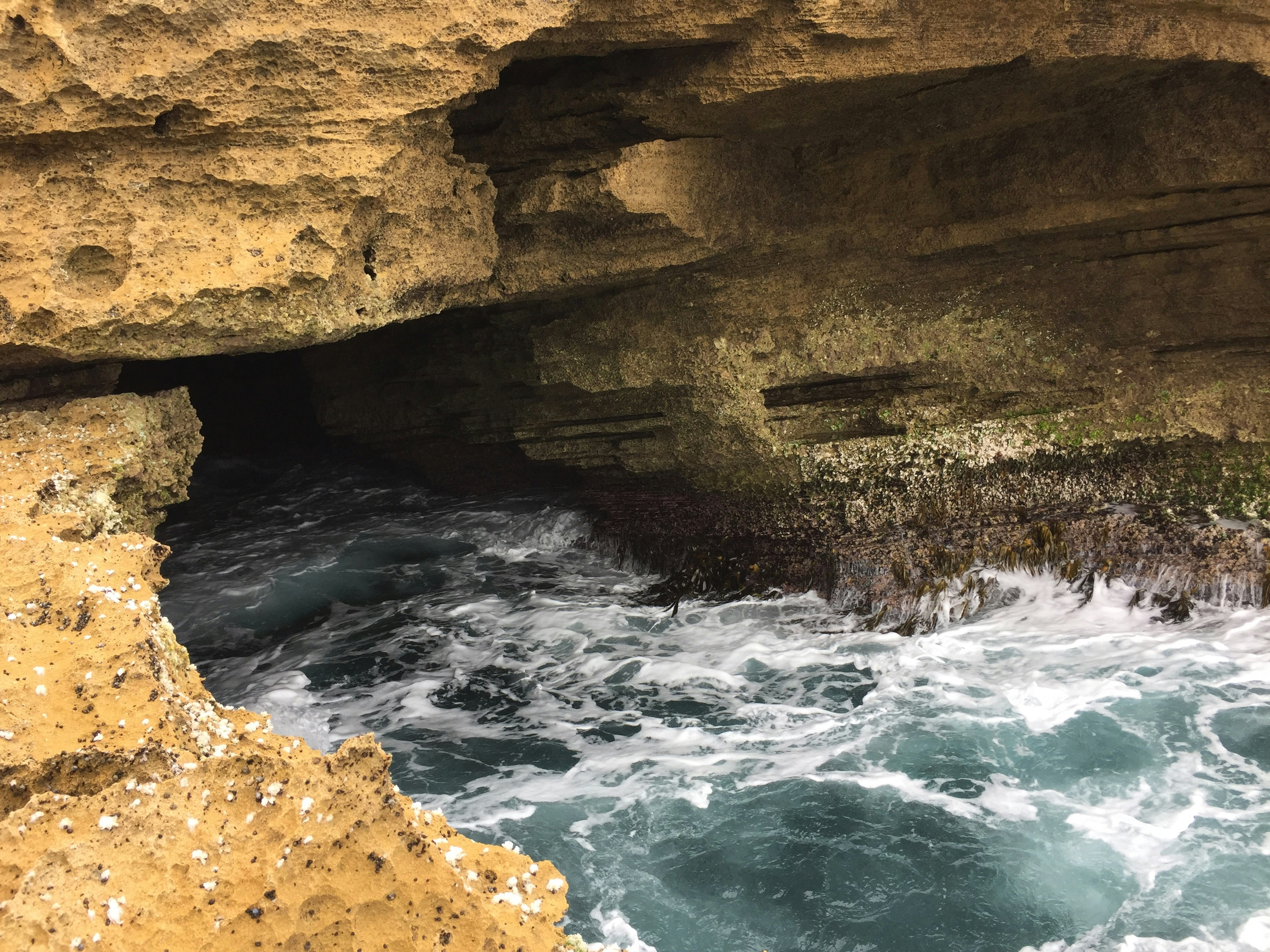 Free Unsplash photo from Brandon  Abbott