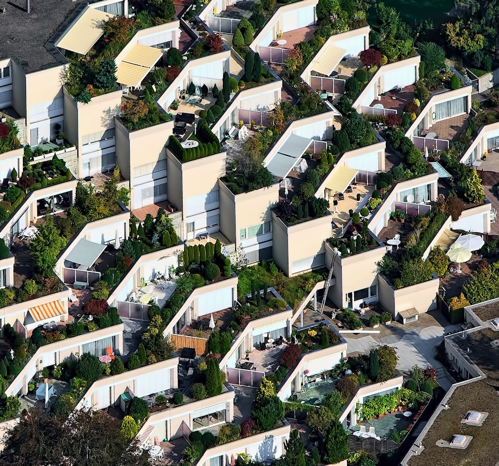 bird's eye view photography of house