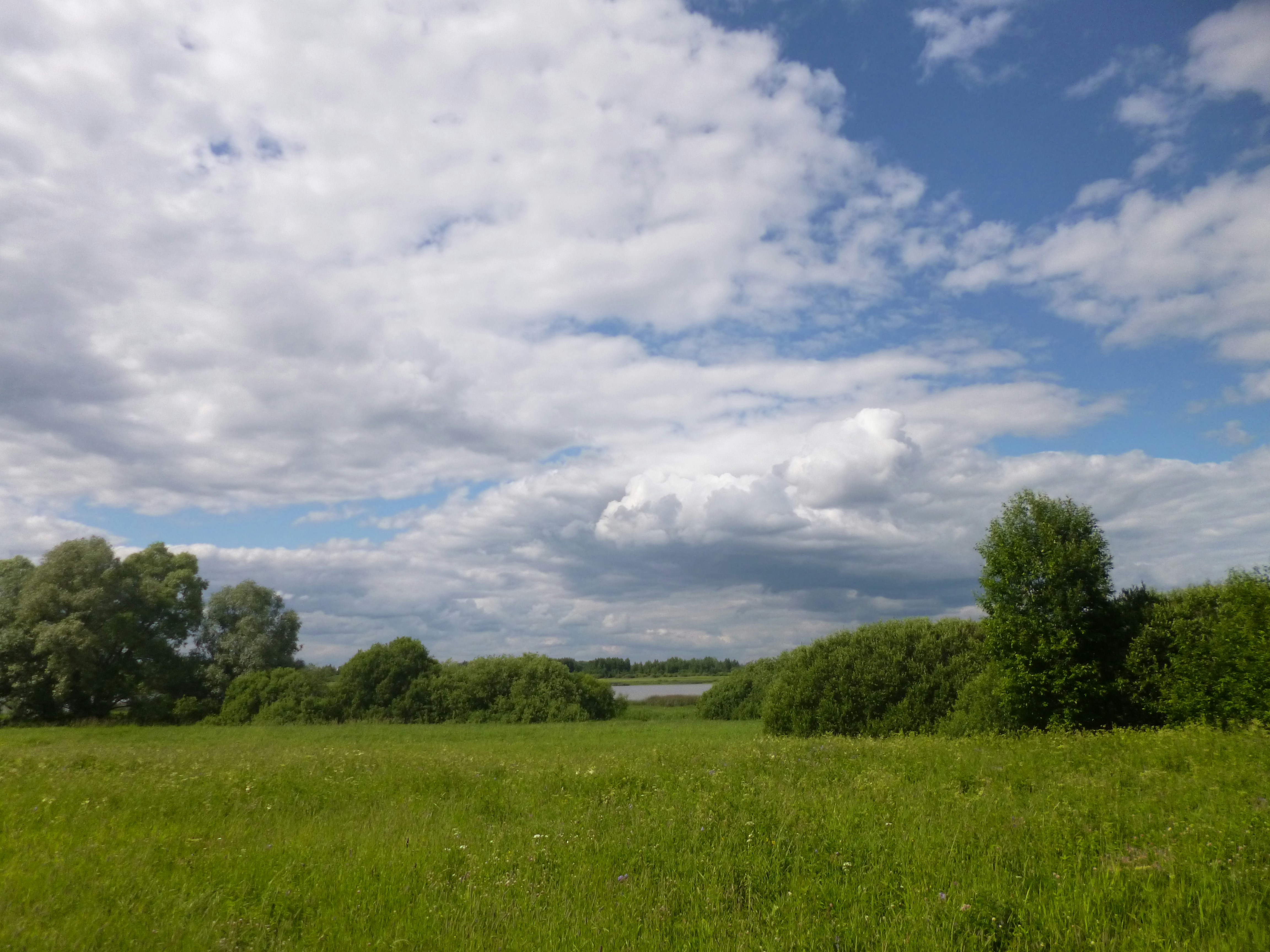 Free Unsplash photo from Надежда Смирнова