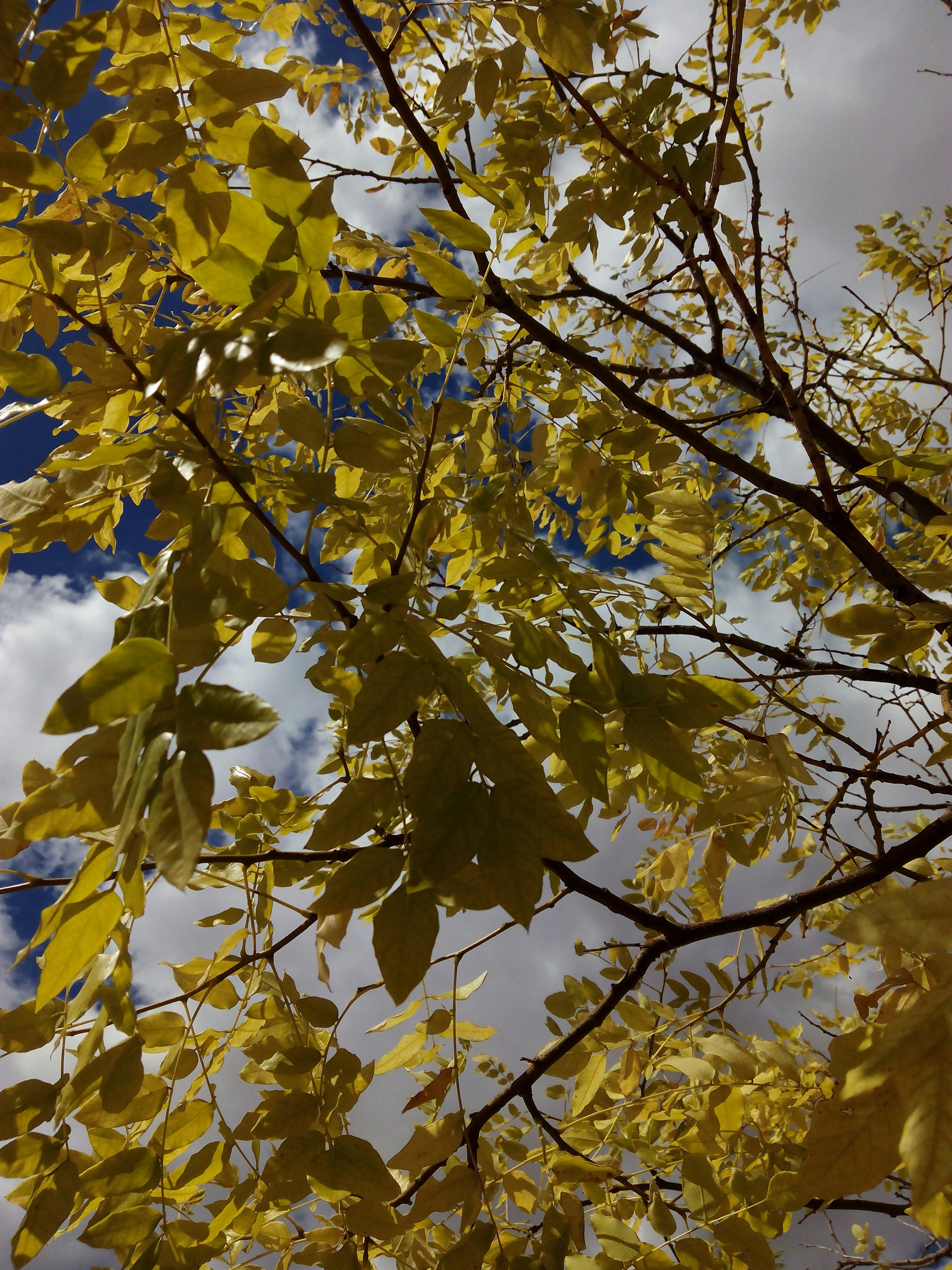 Free Unsplash photo from Lourdes del Río Pisonero