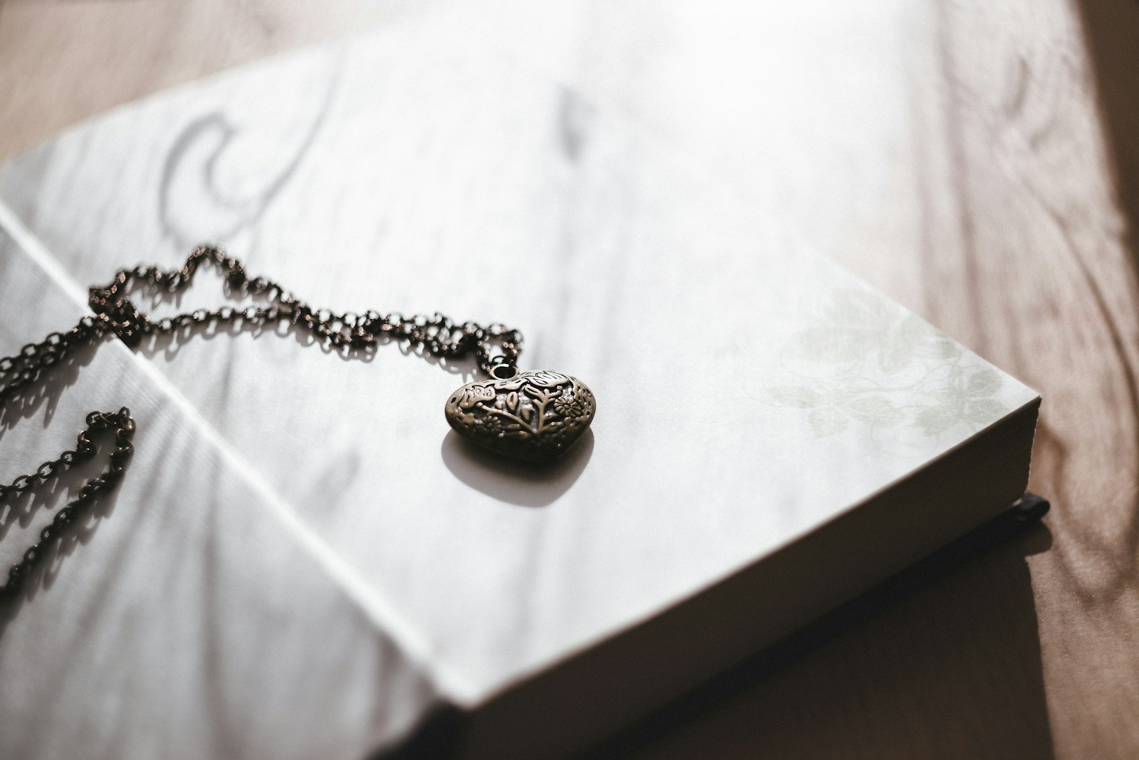 Canon EF 35-80mm f/4-5.6 sample photo. Silver-colored necklace with pendant photography