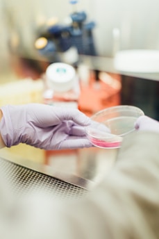 biomédico manuseando placa de petri em um laboratório para fazer o exame de urocultura