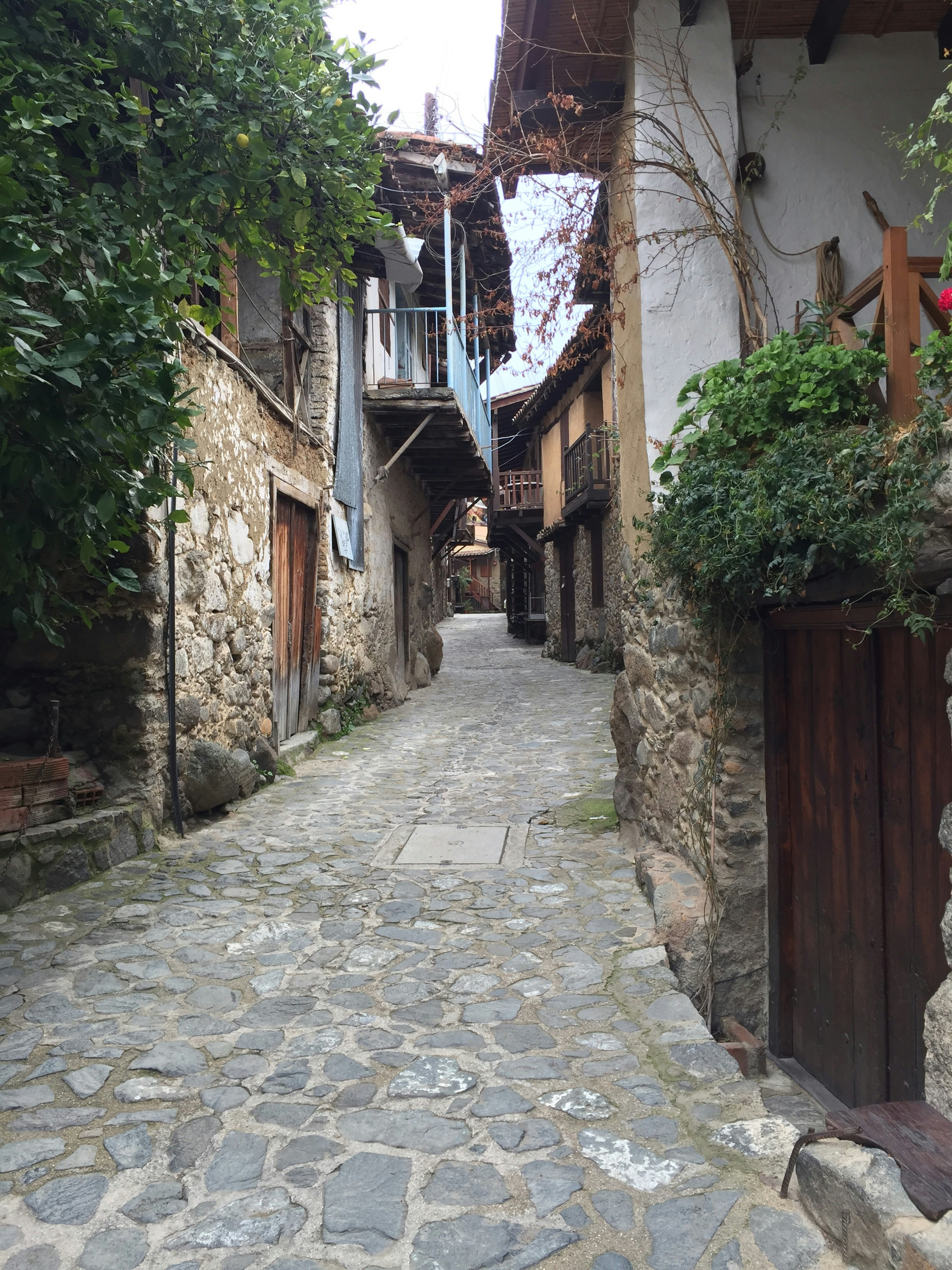 Free Unsplash photo from Şenel Kim