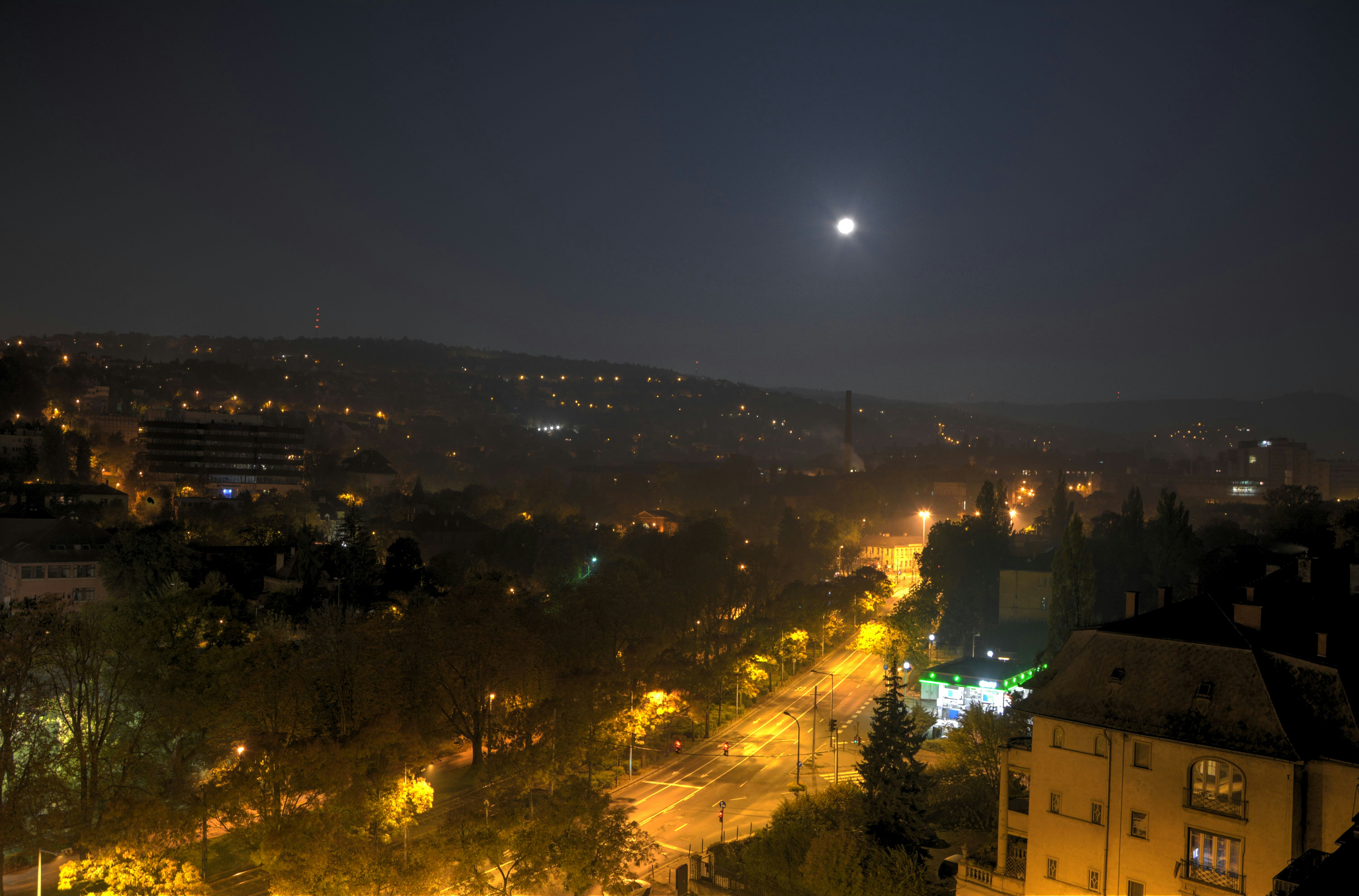 Free Unsplash photo from Anton Leonov