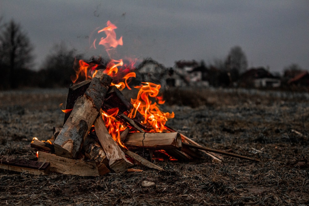 burning firewood