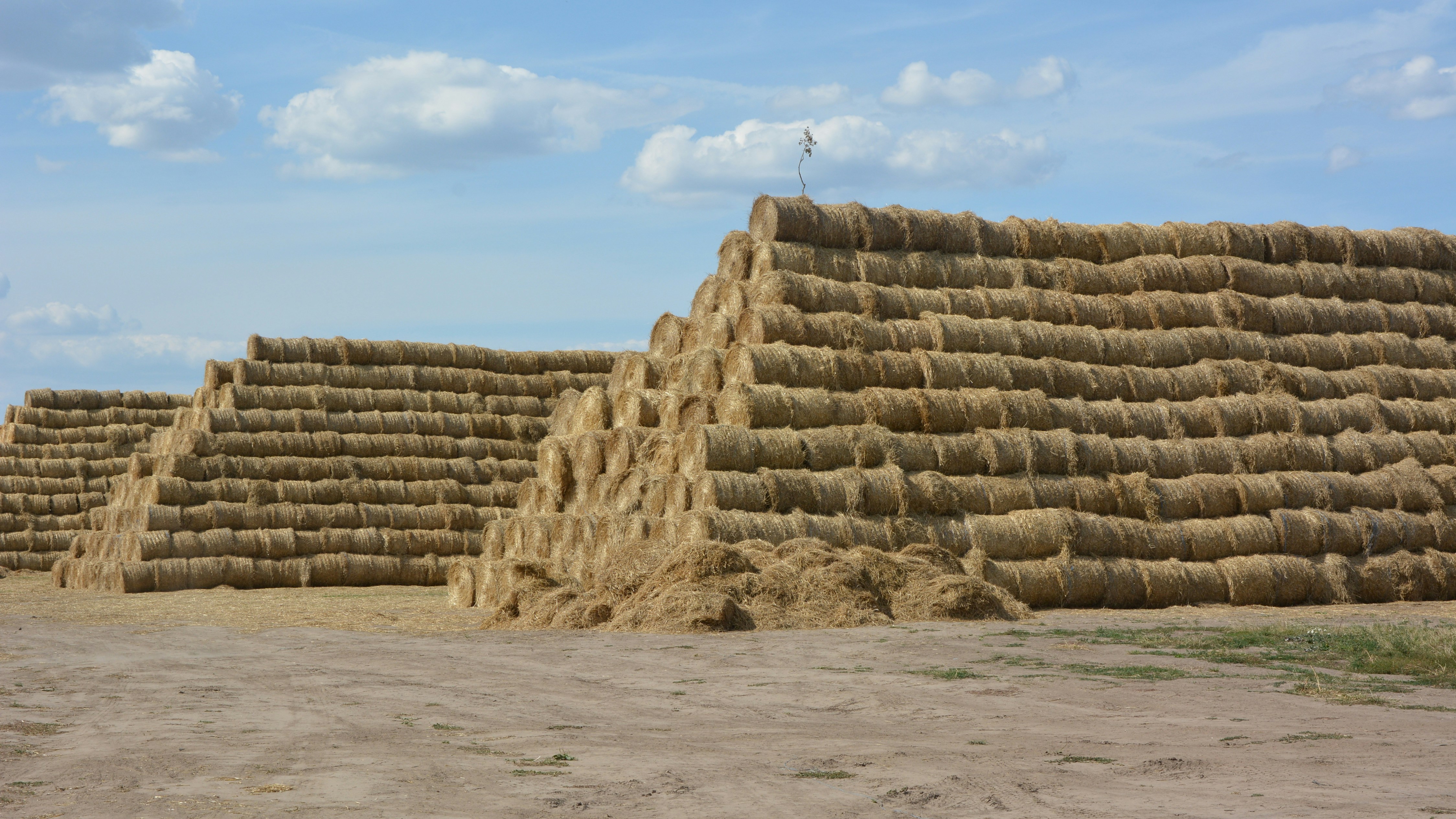 Free Unsplash photo from Anton Leonov