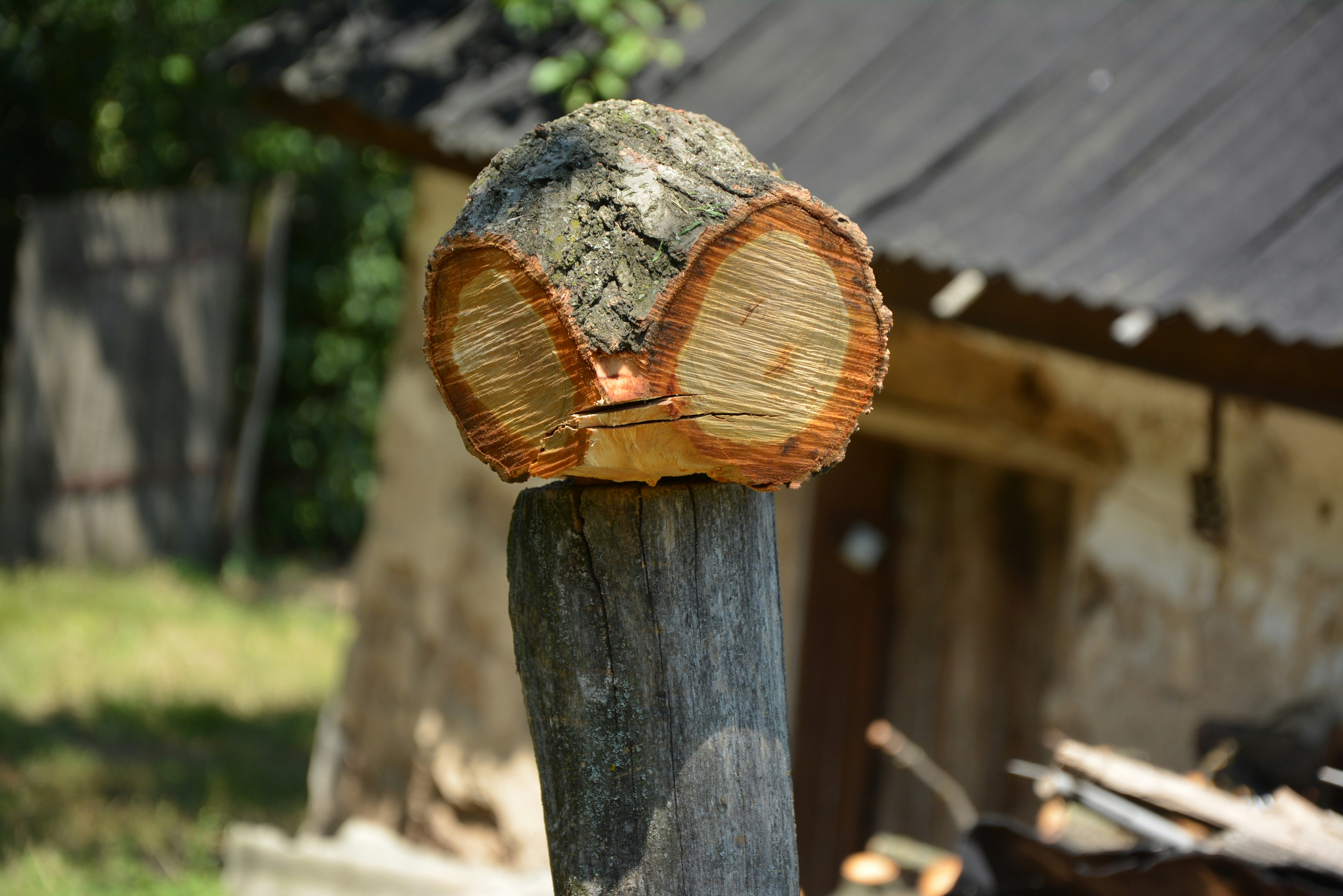 Free Unsplash photo from Anton Leonov