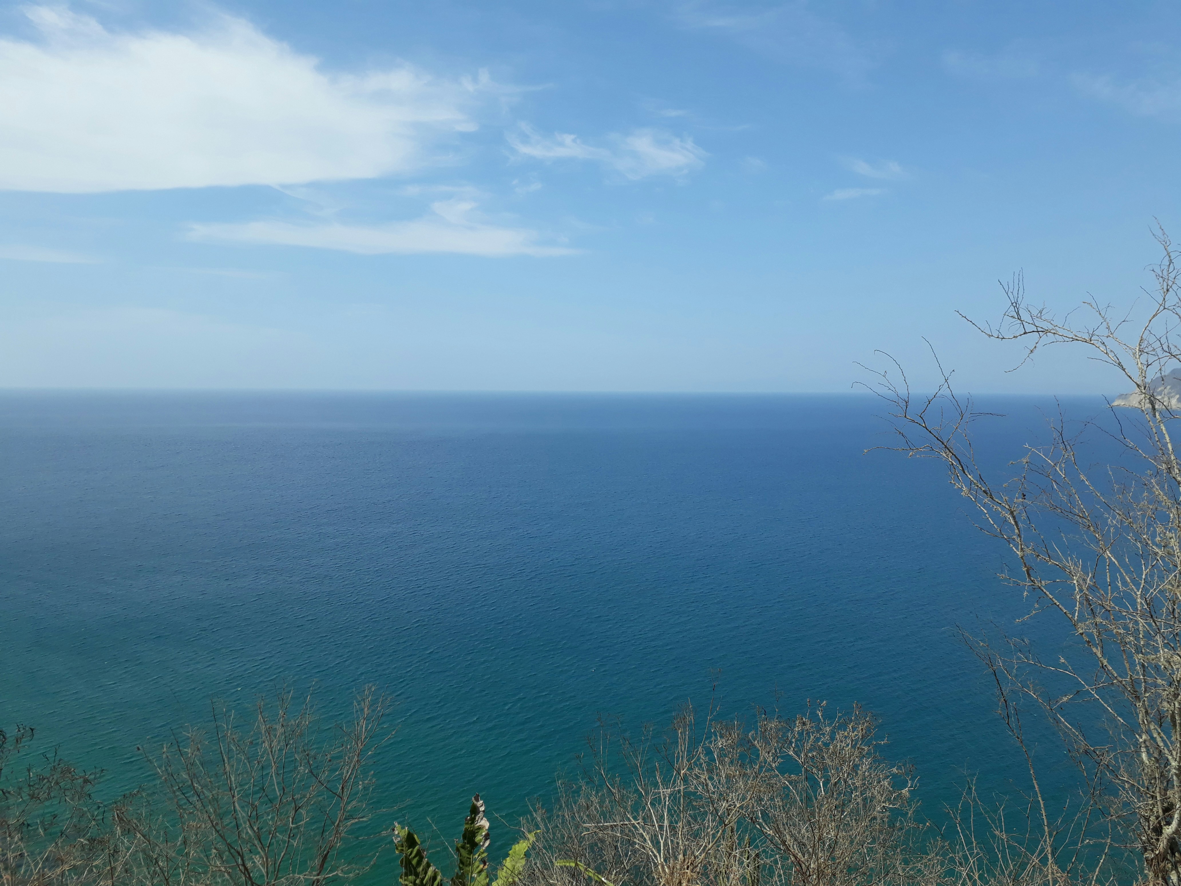 Free Unsplash photo from Luis Mendoza