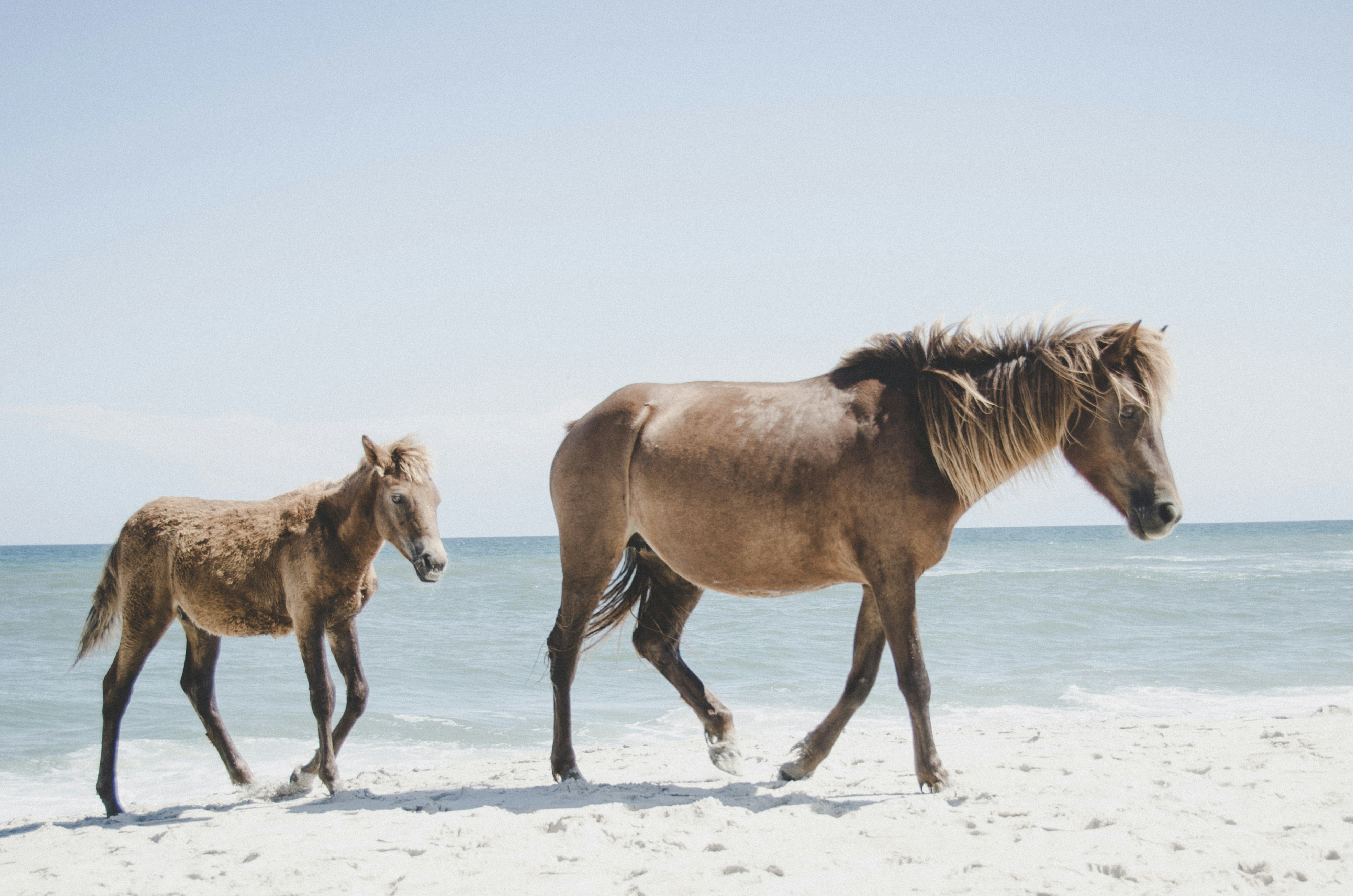 Free Unsplash photo from Jerry Kiesewetter