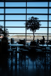 Silhouetted view of an airport lounge with large windows overlooking the runway. Trees and chairs create a pattern of shadows on the floor. Passengers are seated at tables, a mix of people sitting and walking creates a dynamic scene.