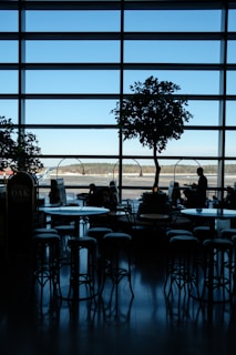 Silhouetted view of an airport lounge with large windows overlooking the runway. Trees and chairs create a pattern of shadows on the floor. Passengers are seated at tables, a mix of people sitting and walking creates a dynamic scene.