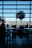 Silhouetted view of an airport lounge with large windows overlooking the runway. Trees and chairs create a pattern of shadows on the floor. Passengers are seated at tables, a mix of people sitting and walking creates a dynamic scene.