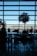 Silhouetted view of an airport lounge with large windows overlooking the runway. Trees and chairs create a pattern of shadows on the floor. Passengers are seated at tables, a mix of people sitting and walking creates a dynamic scene.