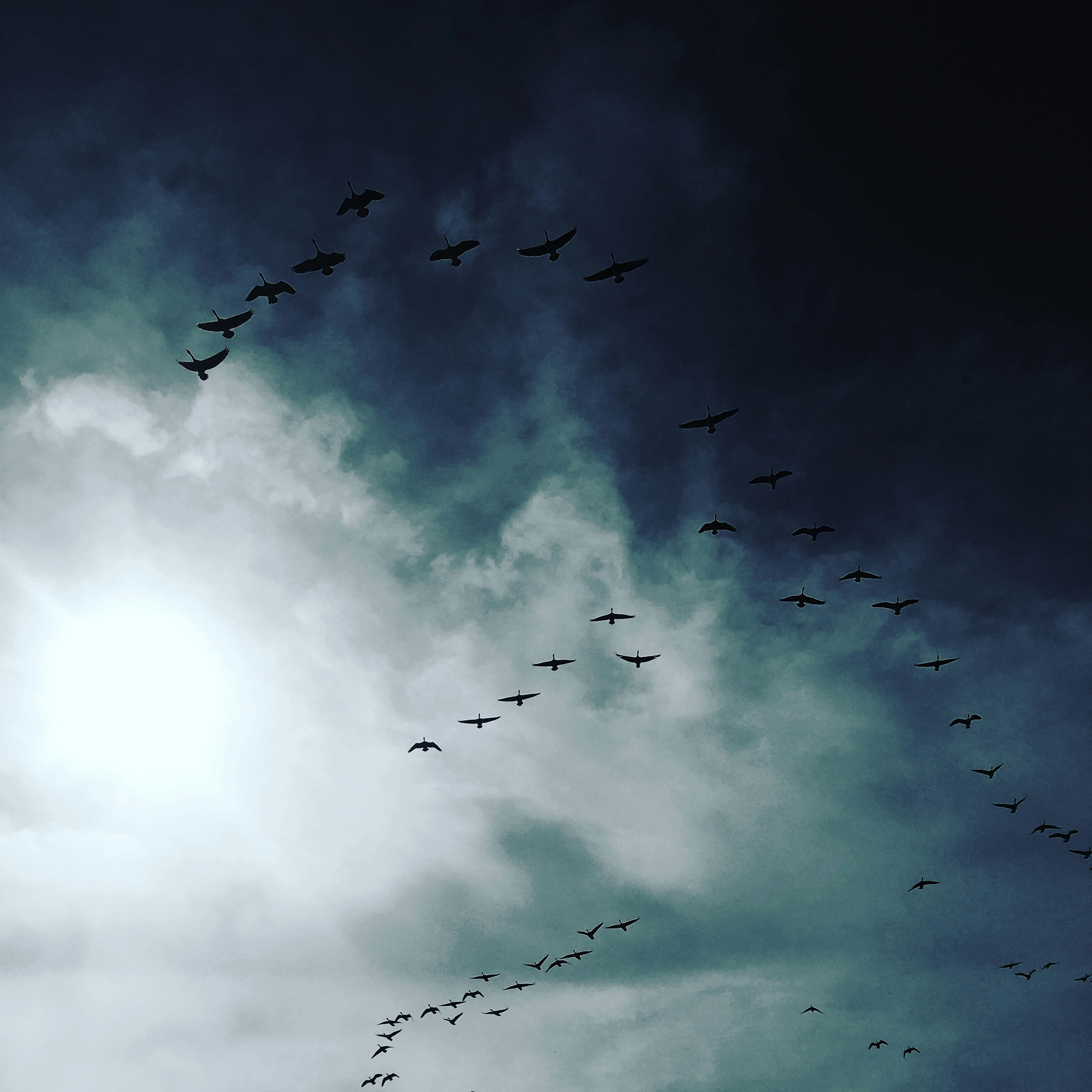 Free Unsplash photo from Rosalind  Wilson