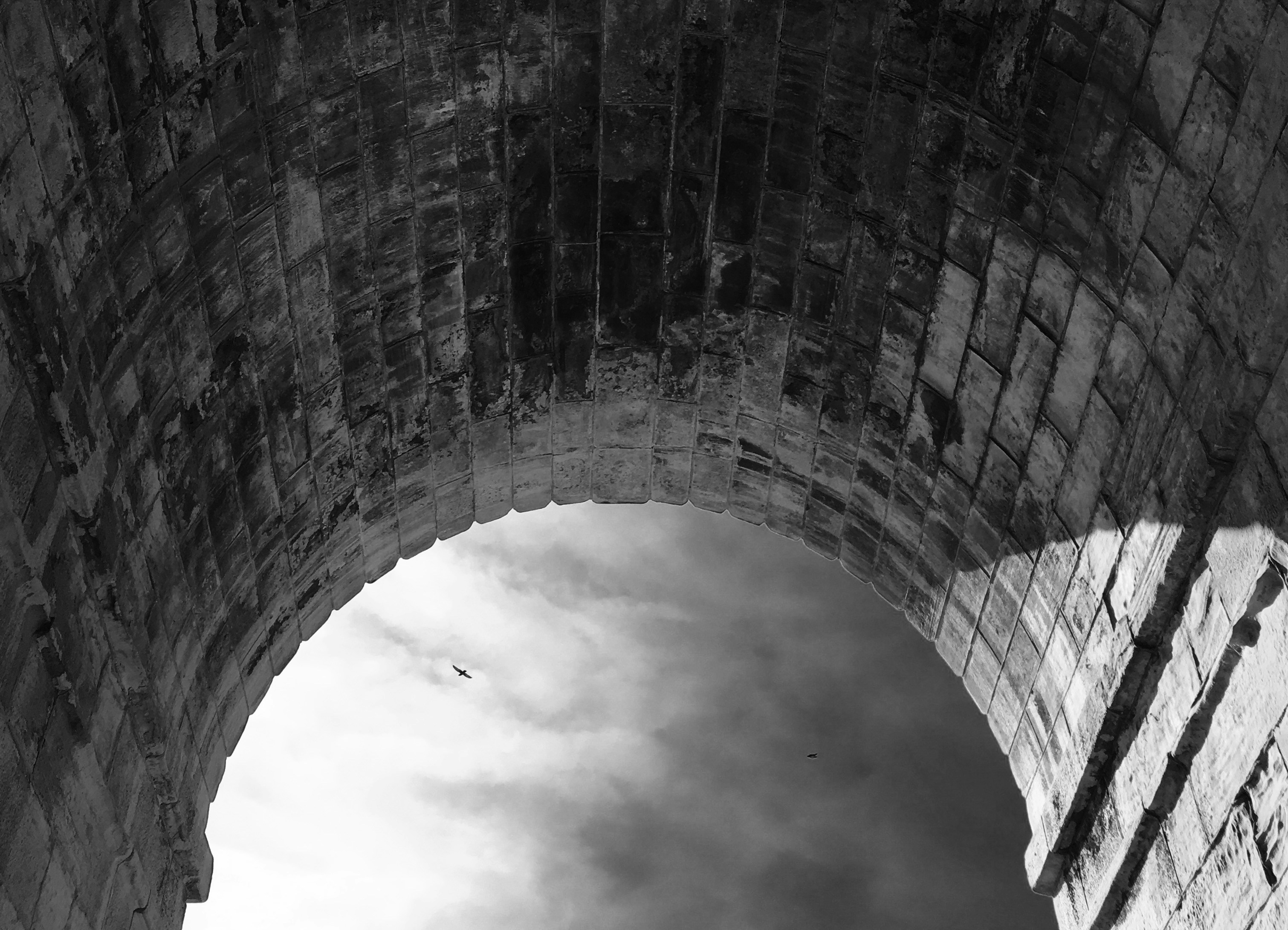 Free Unsplash photo from Rosalind  Wilson