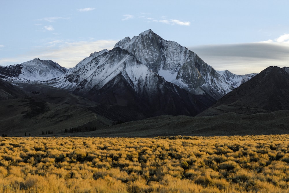 Fotografía de una montaña durante el día