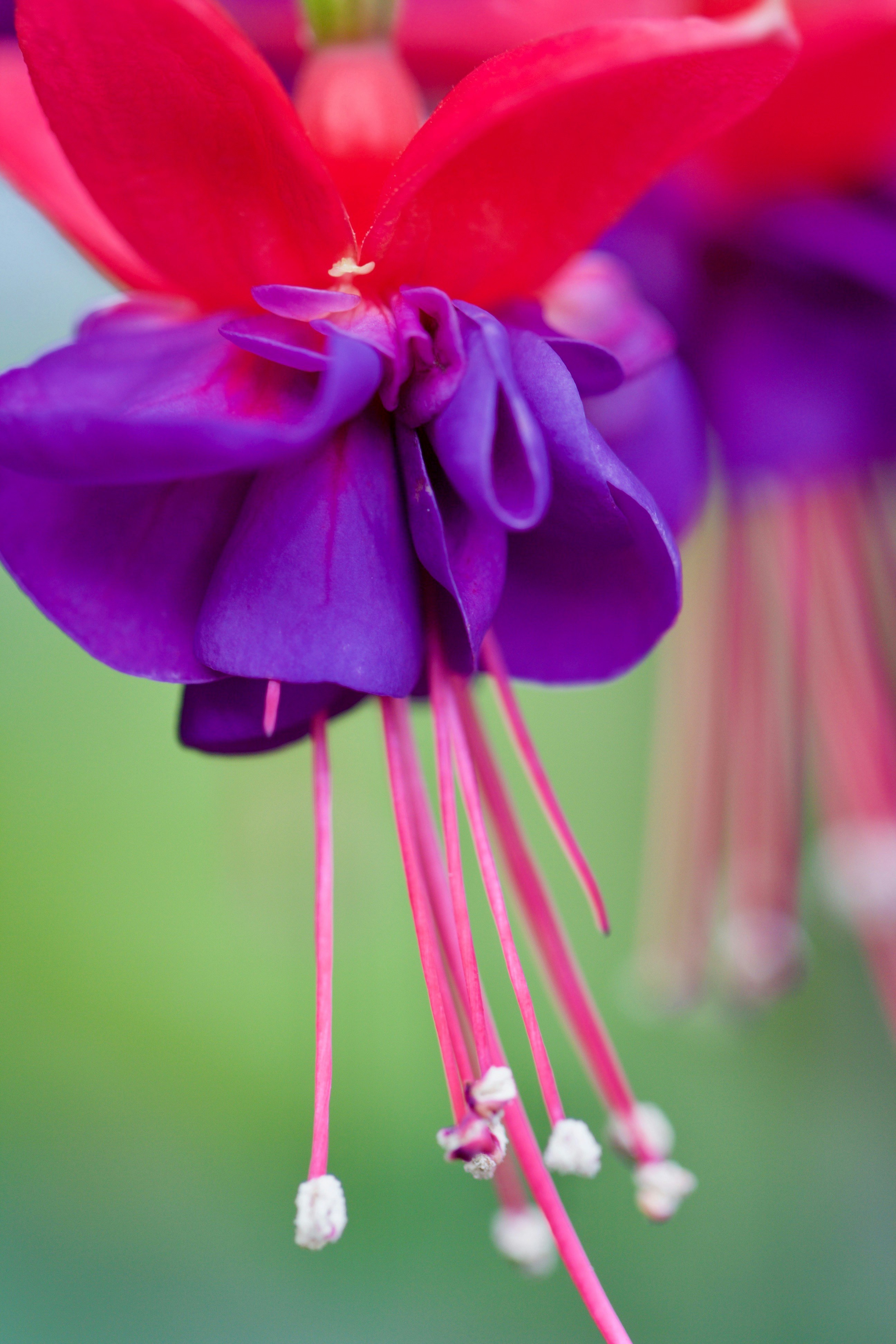 Free Unsplash photo from Nikhita Singhal