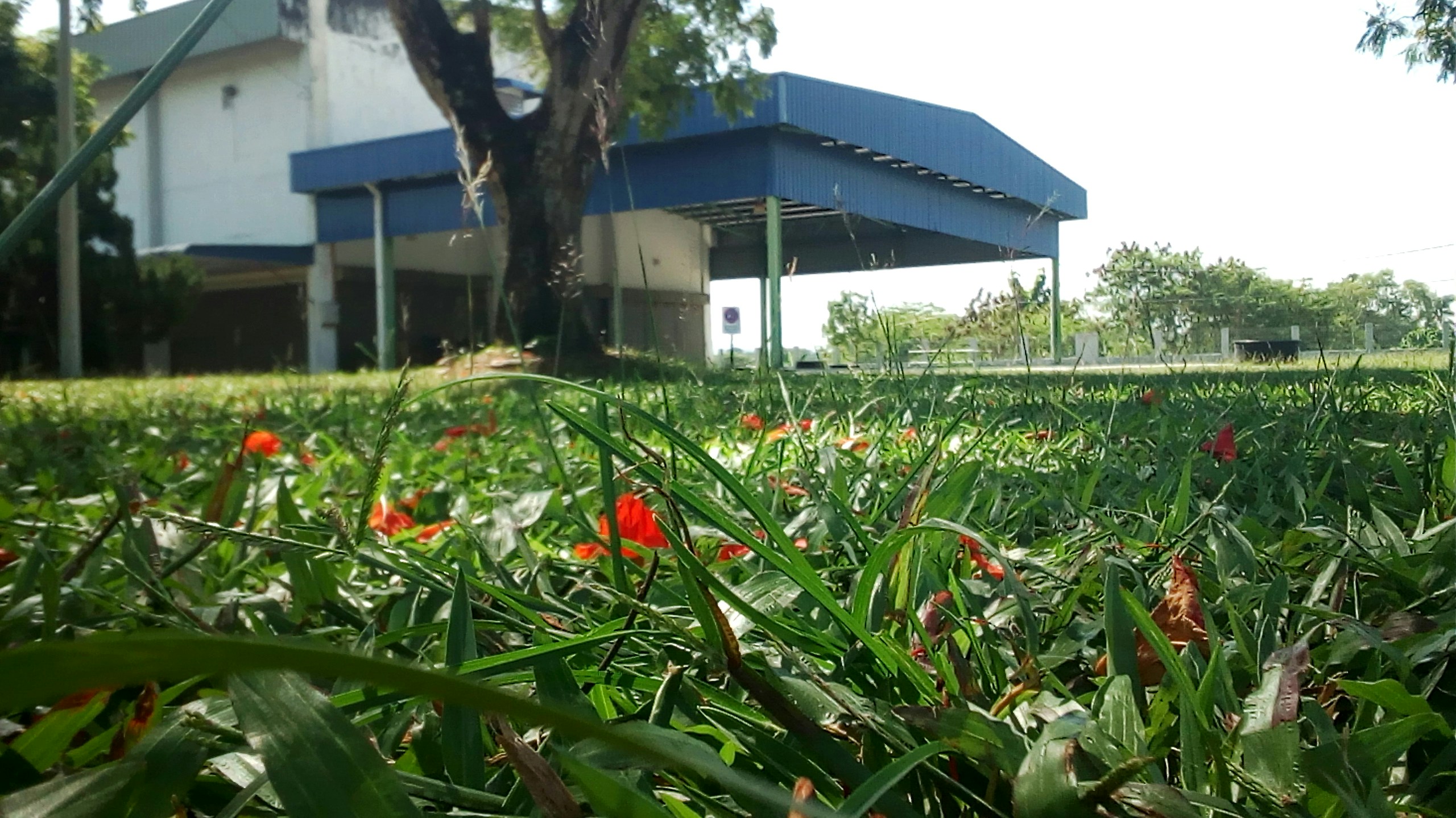 Free Unsplash photo from Vincent Chin