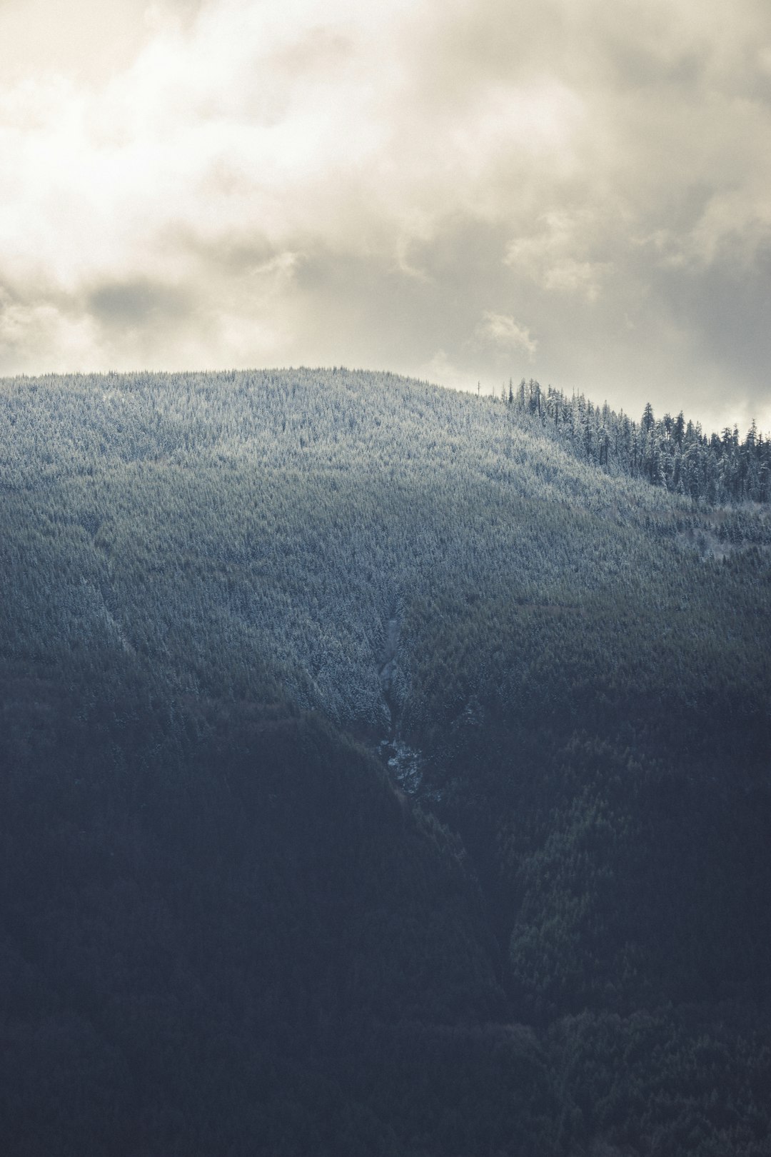 Mountain photo spot Mount Saint Helens Forest Lake