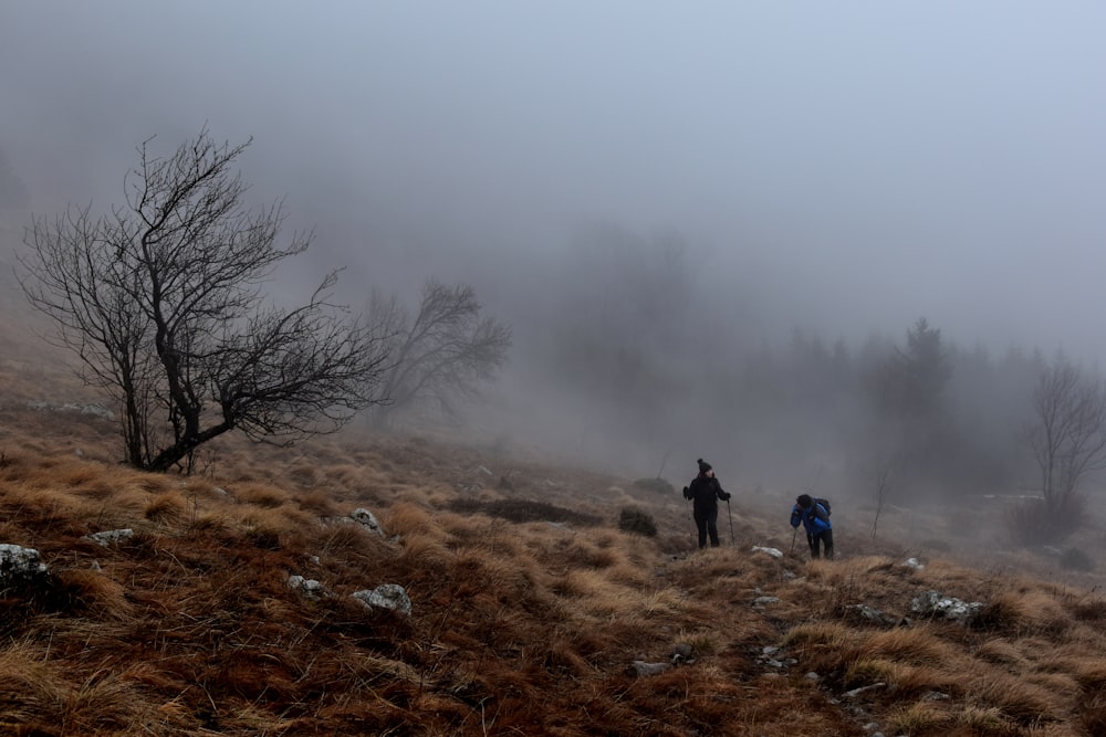 two people hiking on the mountain