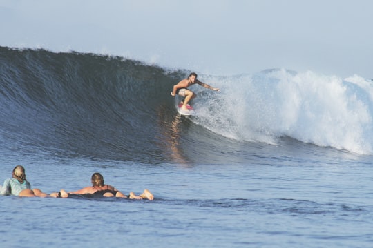 man surfing at daytime in Sumbawa Indonesia
