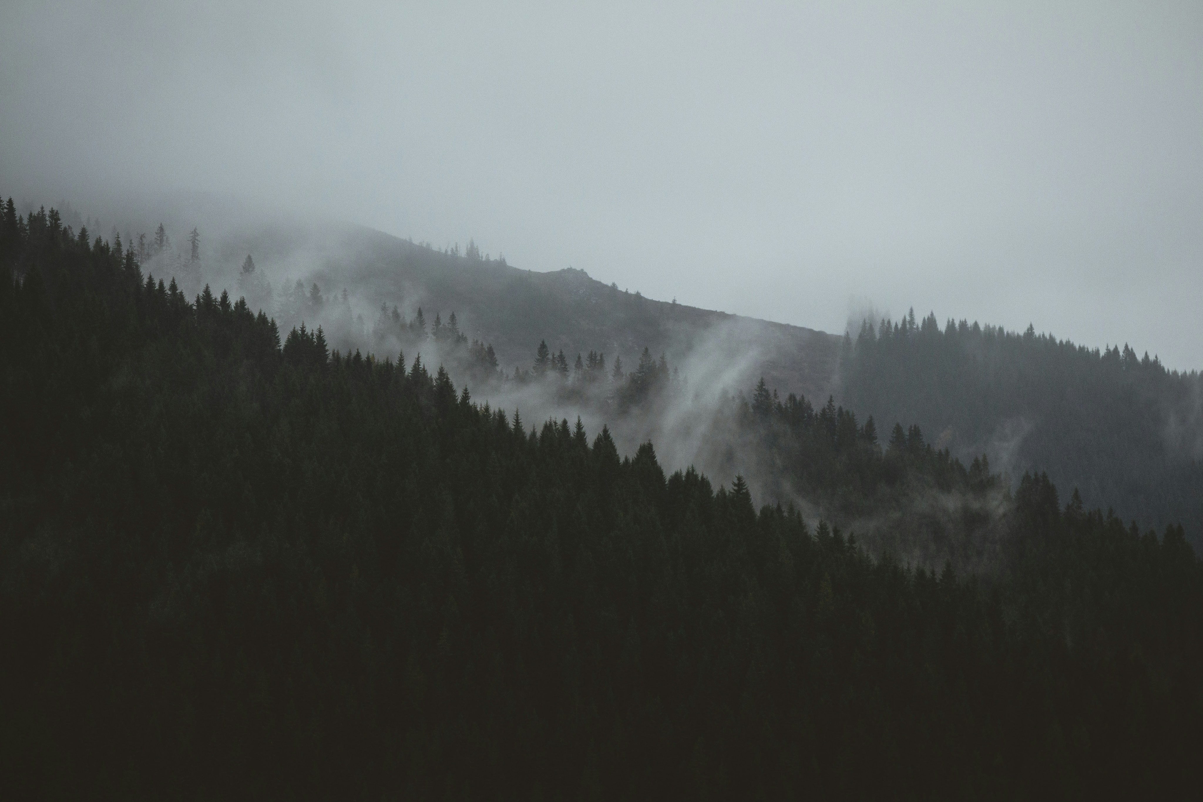 photo-1486895893244-6000c5fa2830?ixid=M3wxMjA3fDB8MXxzZWFyY2h8MTh8fGhpZ2h0c3Rha2VzfGVufDB8fHx8MTc1NDAyMTA1Mnww\u0026ixlib=rb-4.1.0