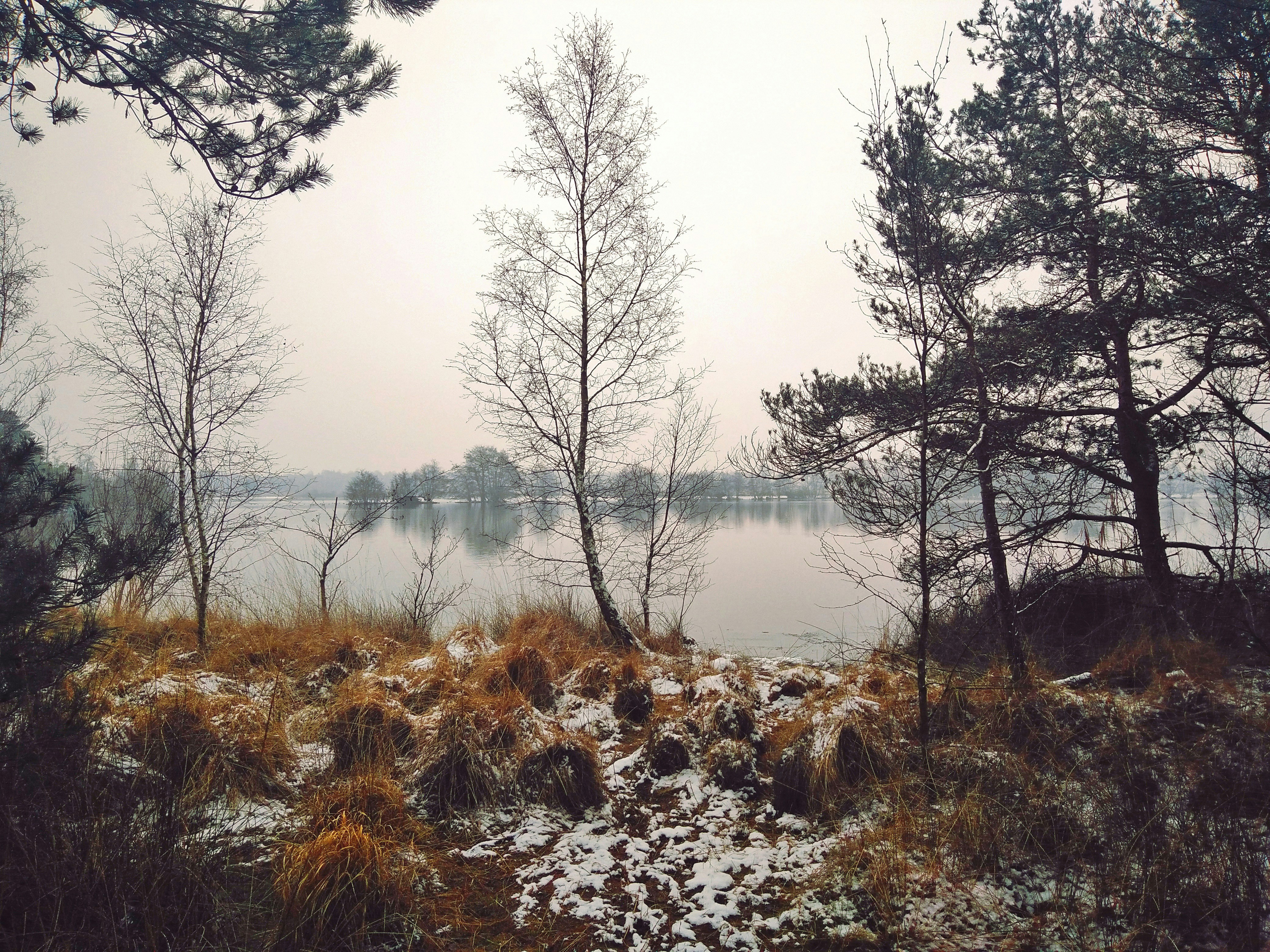 Free Unsplash photo from Job Savelsberg