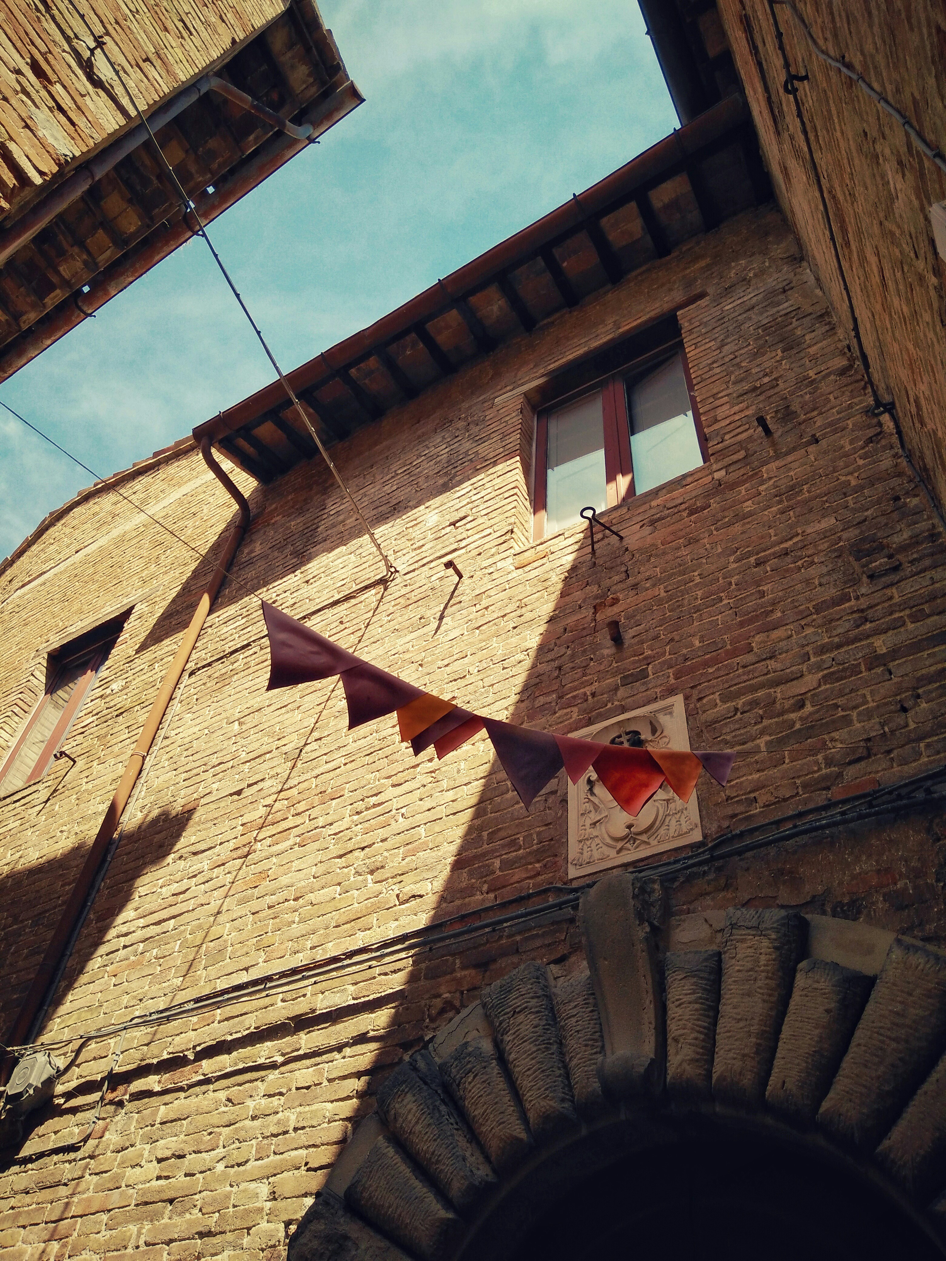 Free Unsplash photo from Job Savelsberg