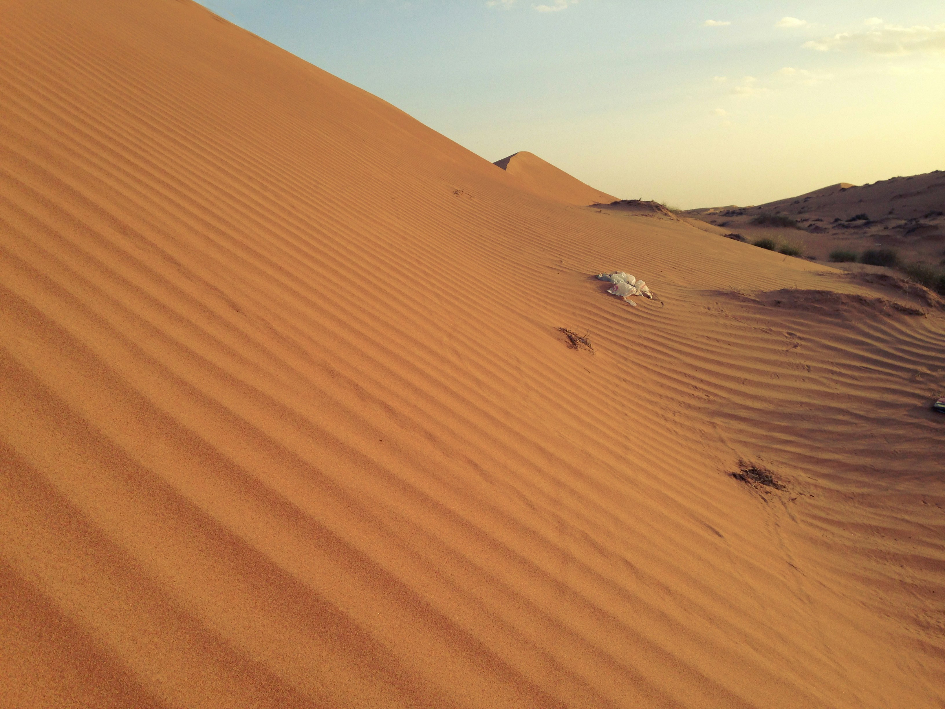 Free Unsplash photo from Job Savelsberg