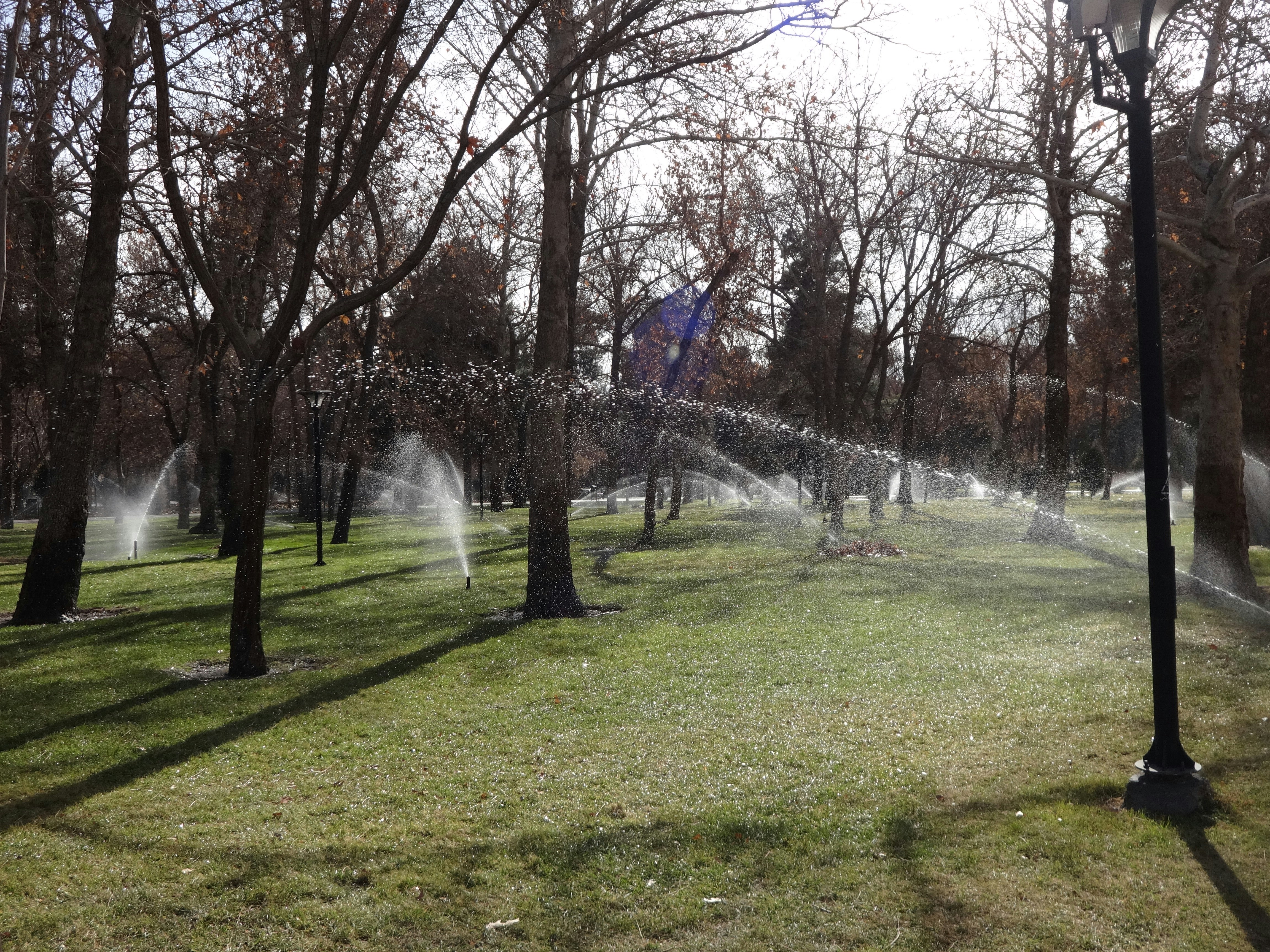 Free Unsplash photo from MrSoF