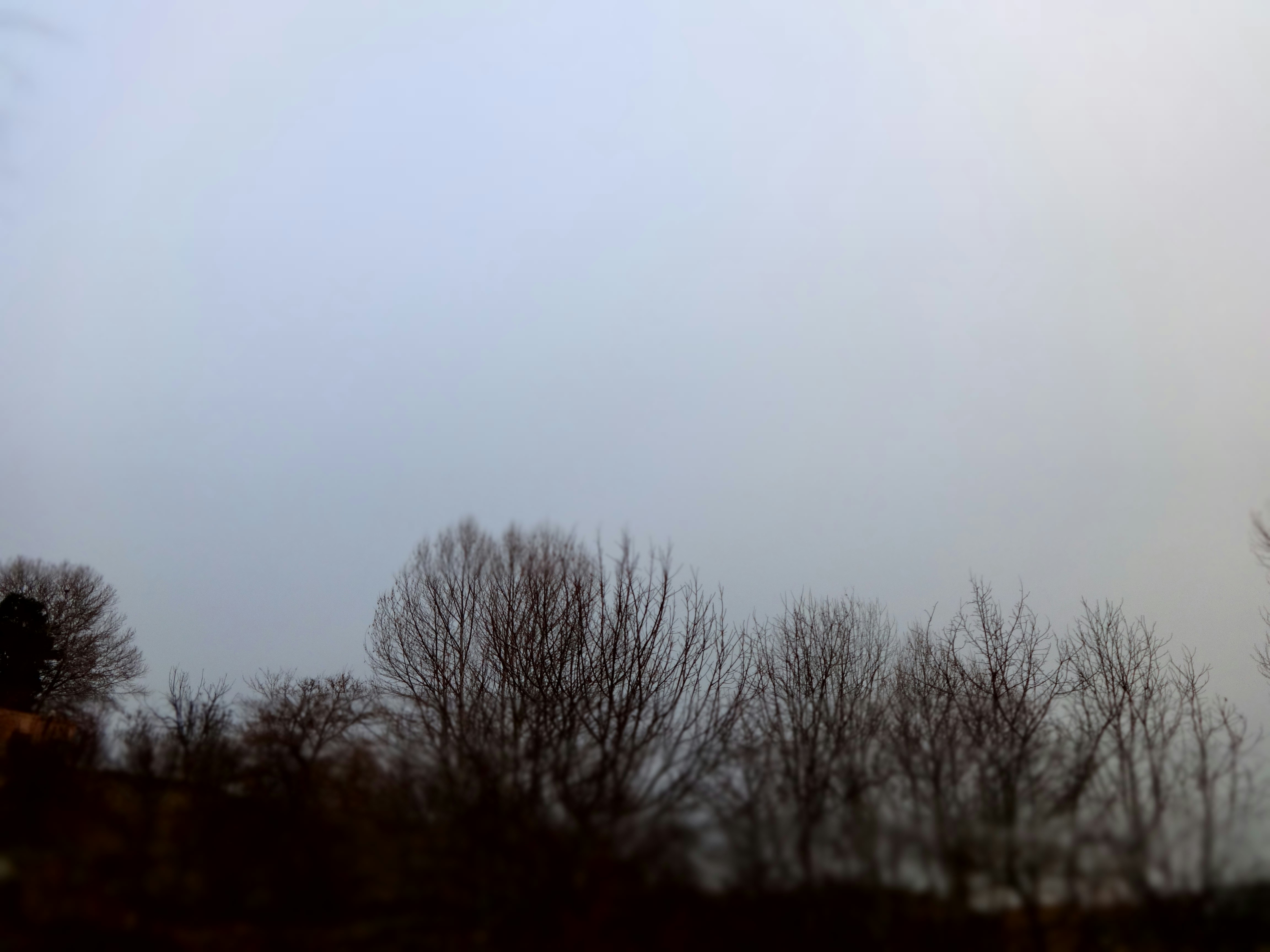 Free Unsplash photo from MrSoF