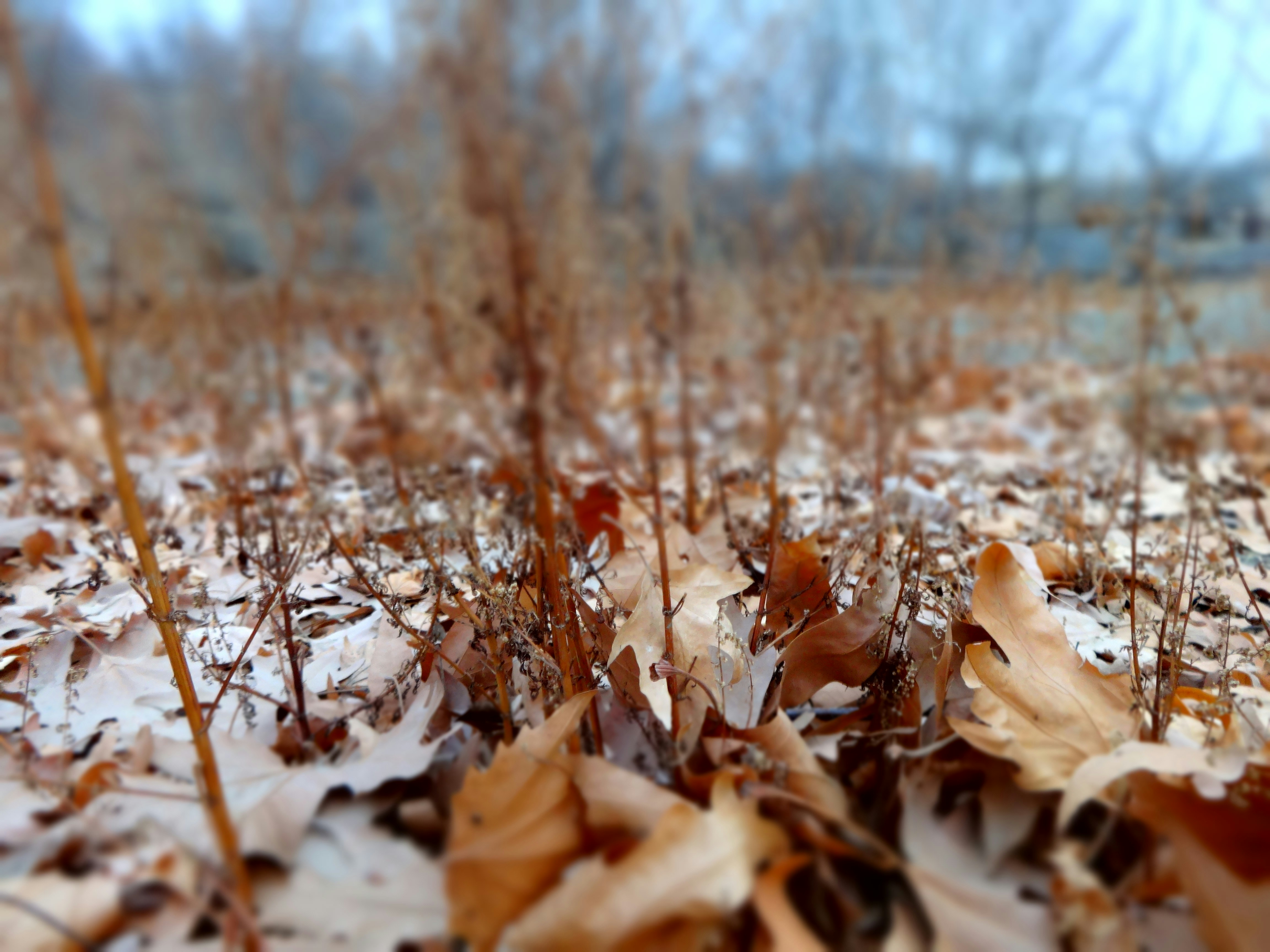 Free Unsplash photo from MrSoF