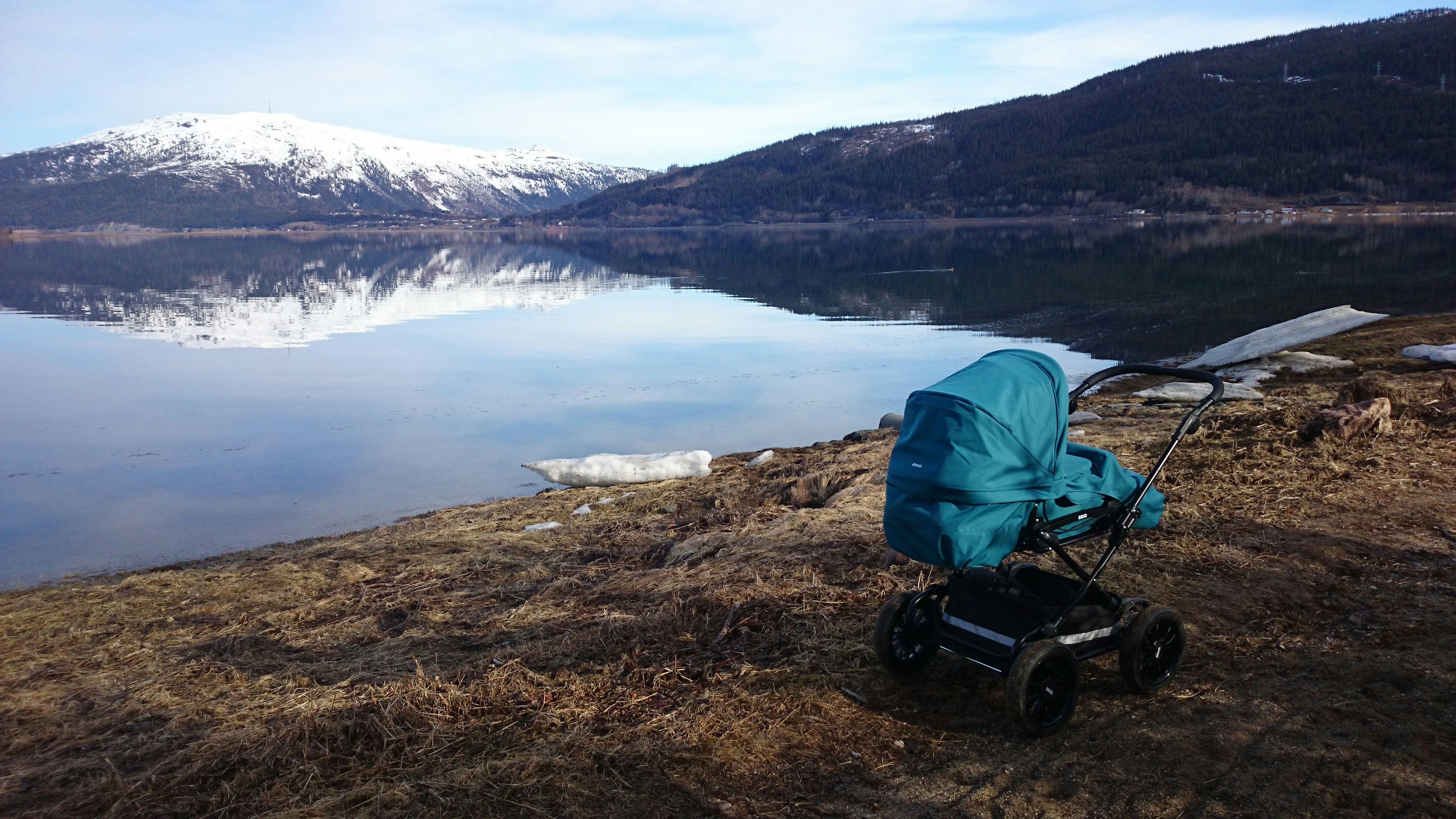 Free Unsplash photo from Anja Sofie Lillebjerka