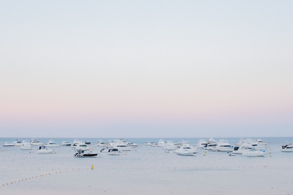 lot of yachts on body of water clear blue sky