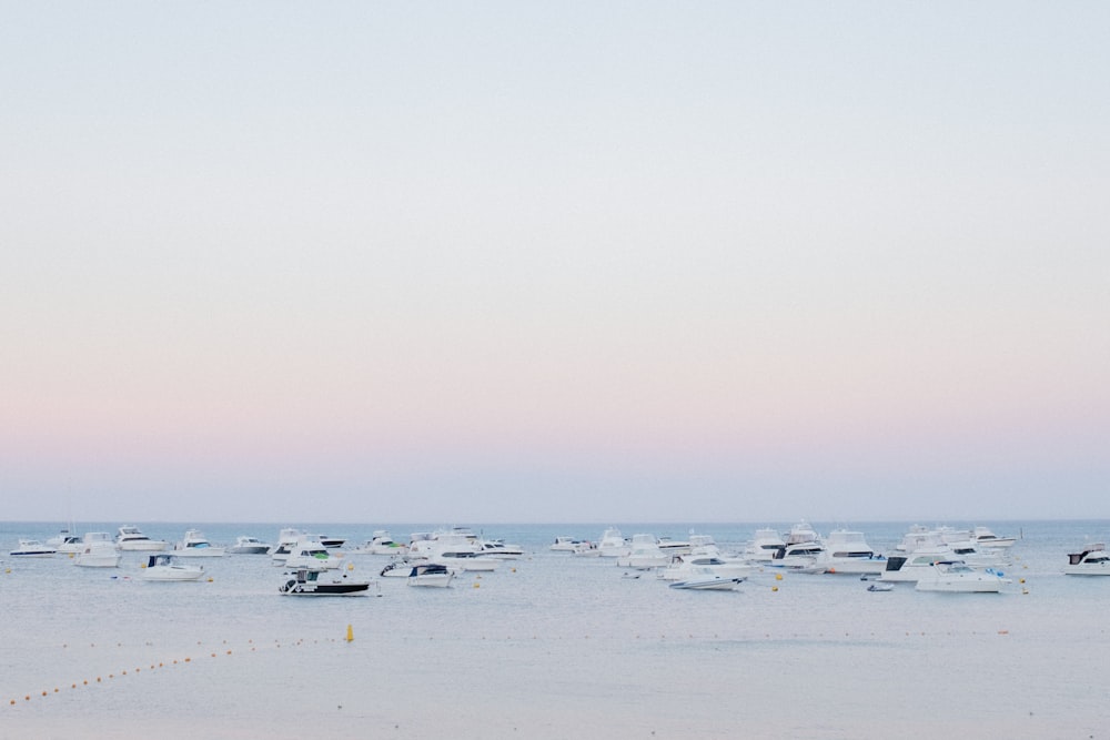 Beaucoup de yachts sur plan d’eau ciel bleu clair