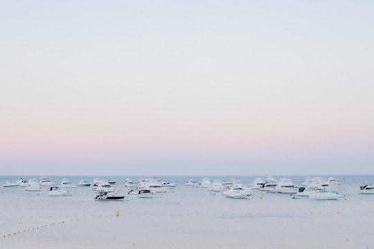 photo of Rottnest Island Beach near Hillarys WA