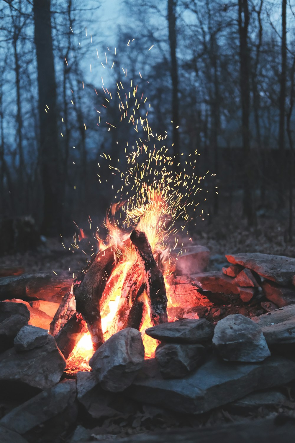 Feu de joie sur la forêt