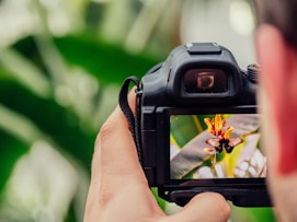 black digital camera capturing yellow flower