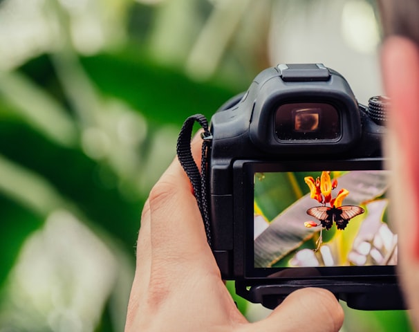 black digital camera capturing yellow flower