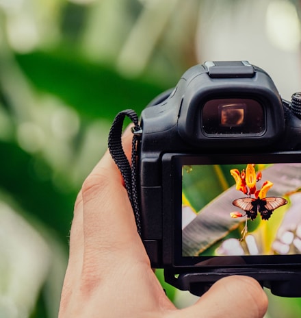 black digital camera capturing yellow flower