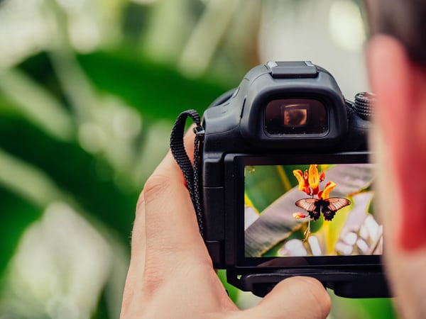 Fotografie