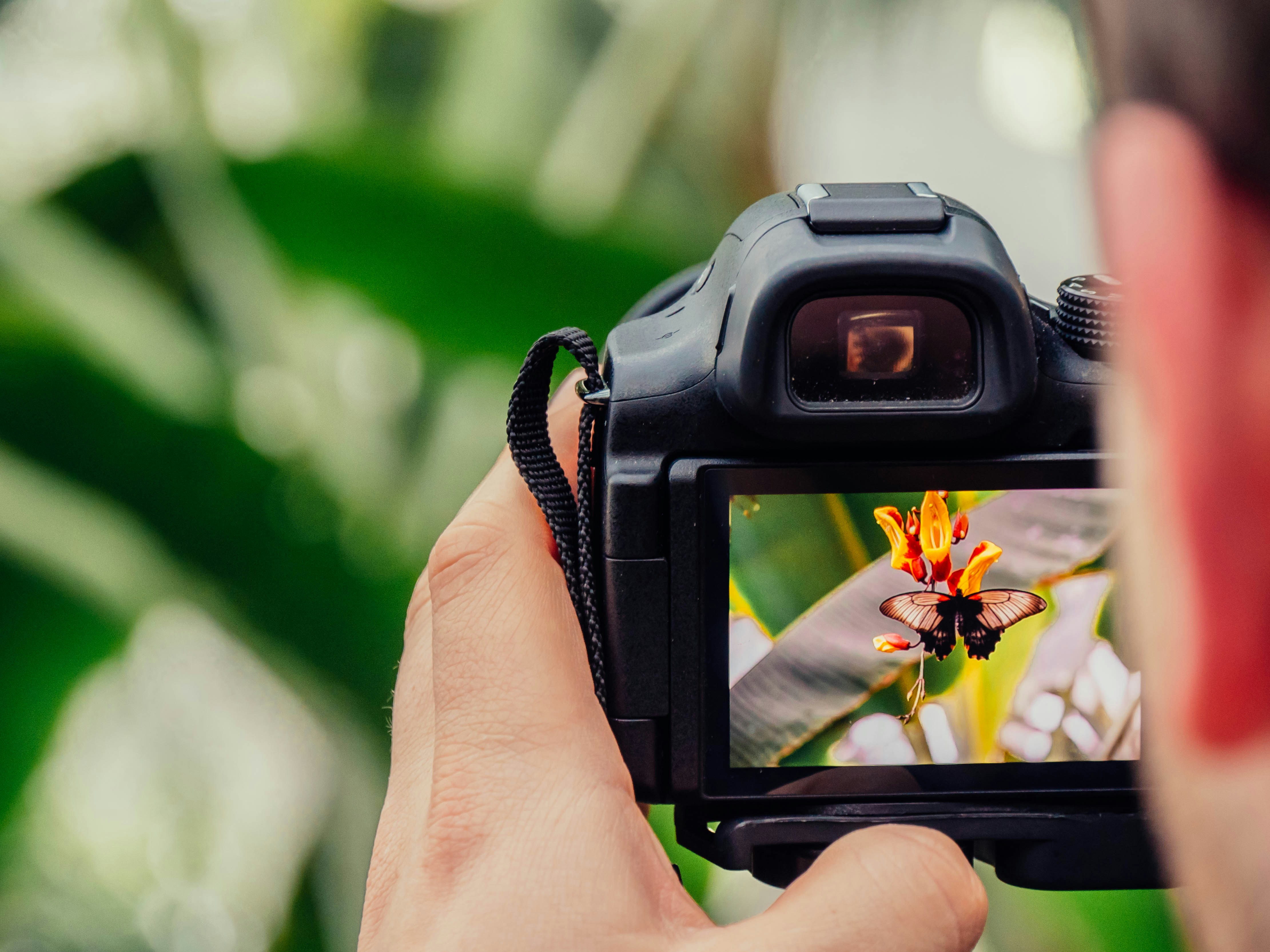 professional photographer reviewing high resolution mobile photo outdoors