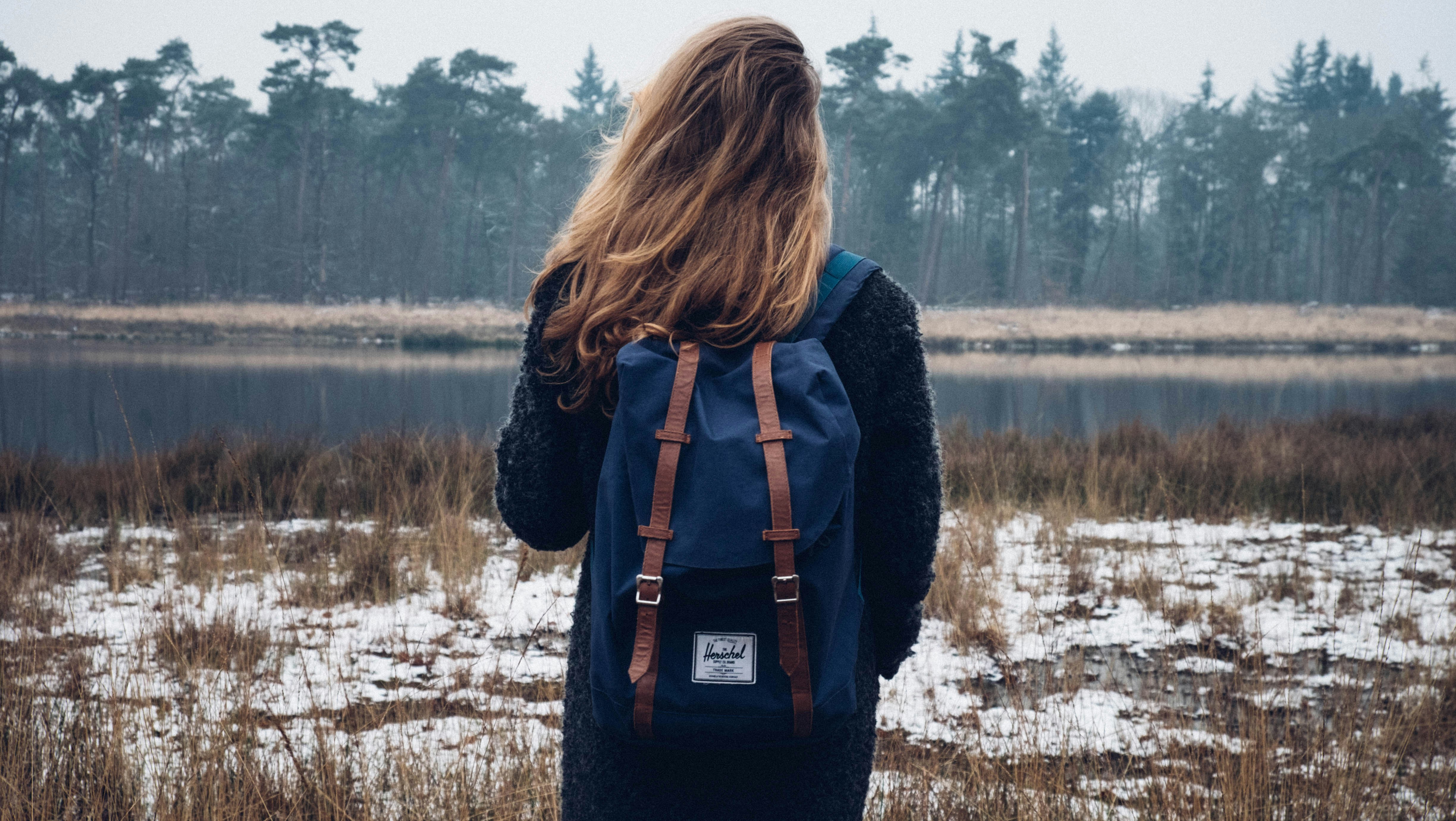 Free Unsplash photo from Lars de Nijs