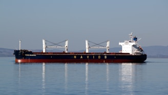 A large cargo ship with the word 'NAVIOS' on its side, floating on calm water. The ship is mostly white with some blue and red accents and has two large cable cranes on deck. The background shows distant hills under a clear blue sky.