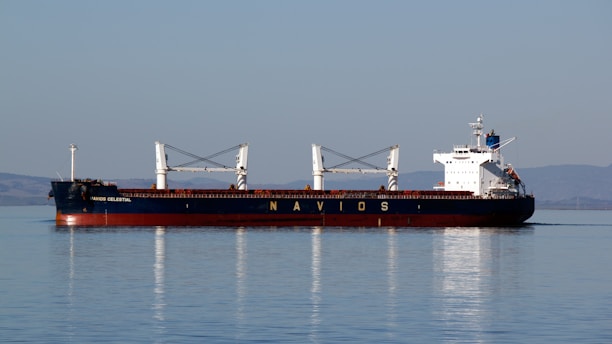 A large cargo ship with the word 'NAVIOS' on its side, floating on calm water. The ship is mostly white with some blue and red accents and has two large cable cranes on deck. The background shows distant hills under a clear blue sky.