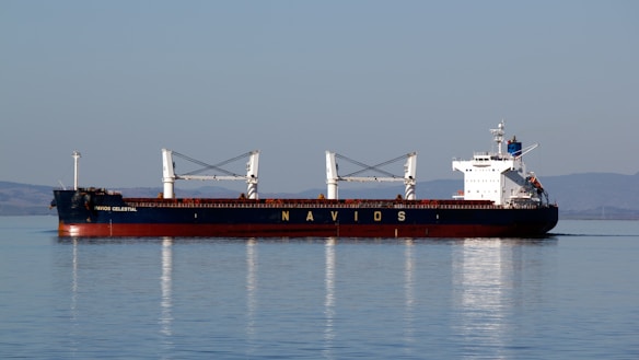A large cargo ship with the word 'NAVIOS' on its side, floating on calm water. The ship is mostly white with some blue and red accents and has two large cable cranes on deck. The background shows distant hills under a clear blue sky.