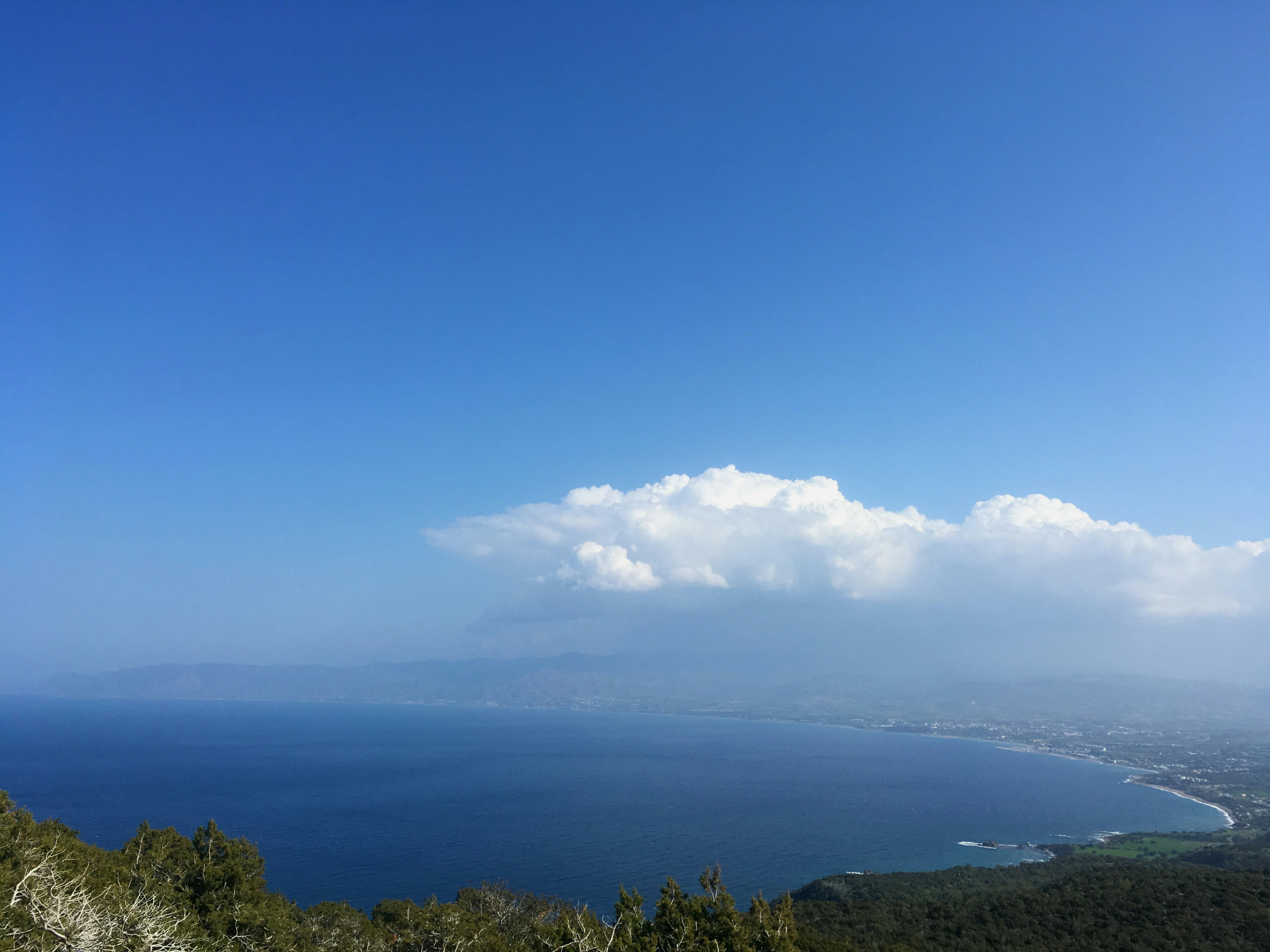 Free Unsplash photo from Martina Feyzrakhmanova